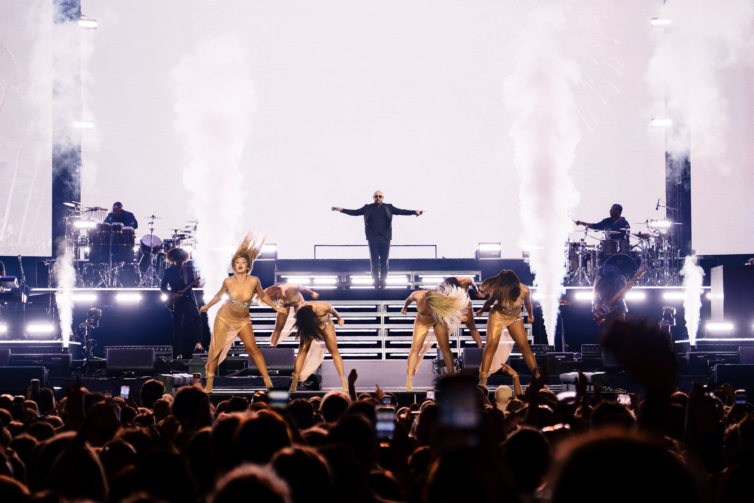 260715_2119_Pitbull_BPB00214_BobbiePhotography_LR.jpg