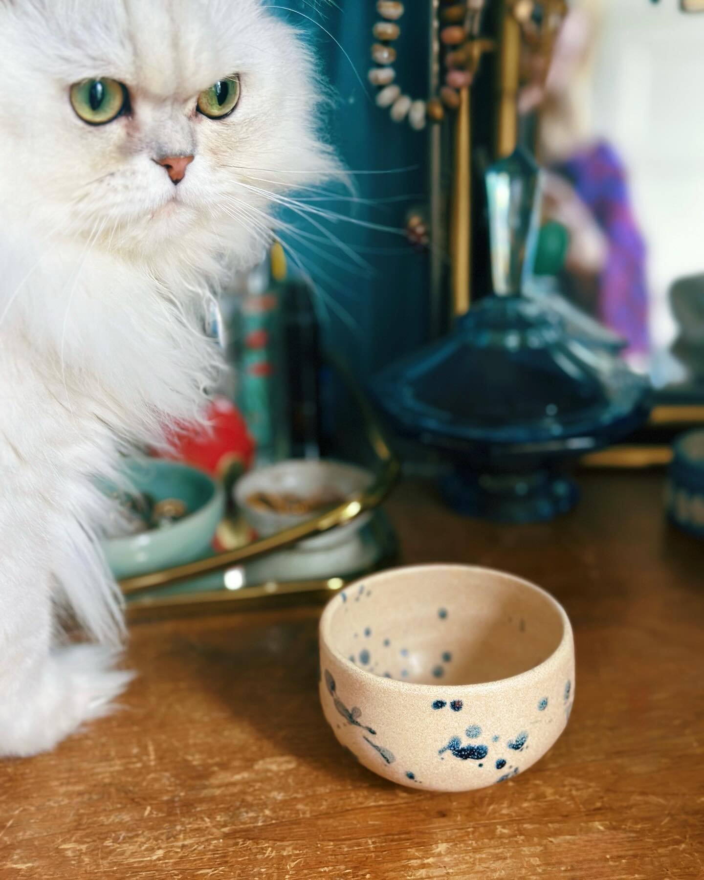 I made a cute ink splatter bowl and I never take beautiful studio shots of my ceramics because I&rsquo;m an amateur but my cat seems to really like them so here I am, presenting my latest &ldquo;make&rdquo; to my number one fan