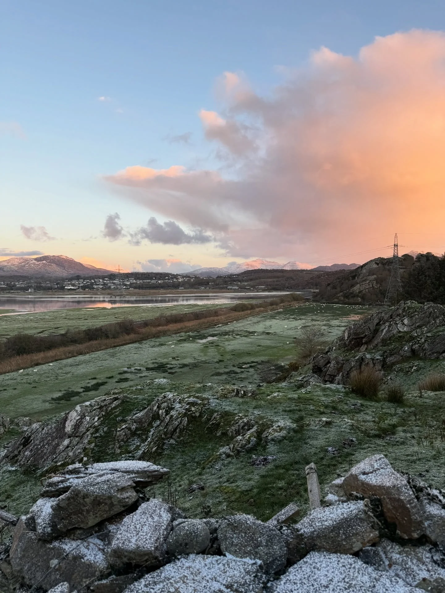 Can I interest you in some everyday magic from the bottom of our garden?