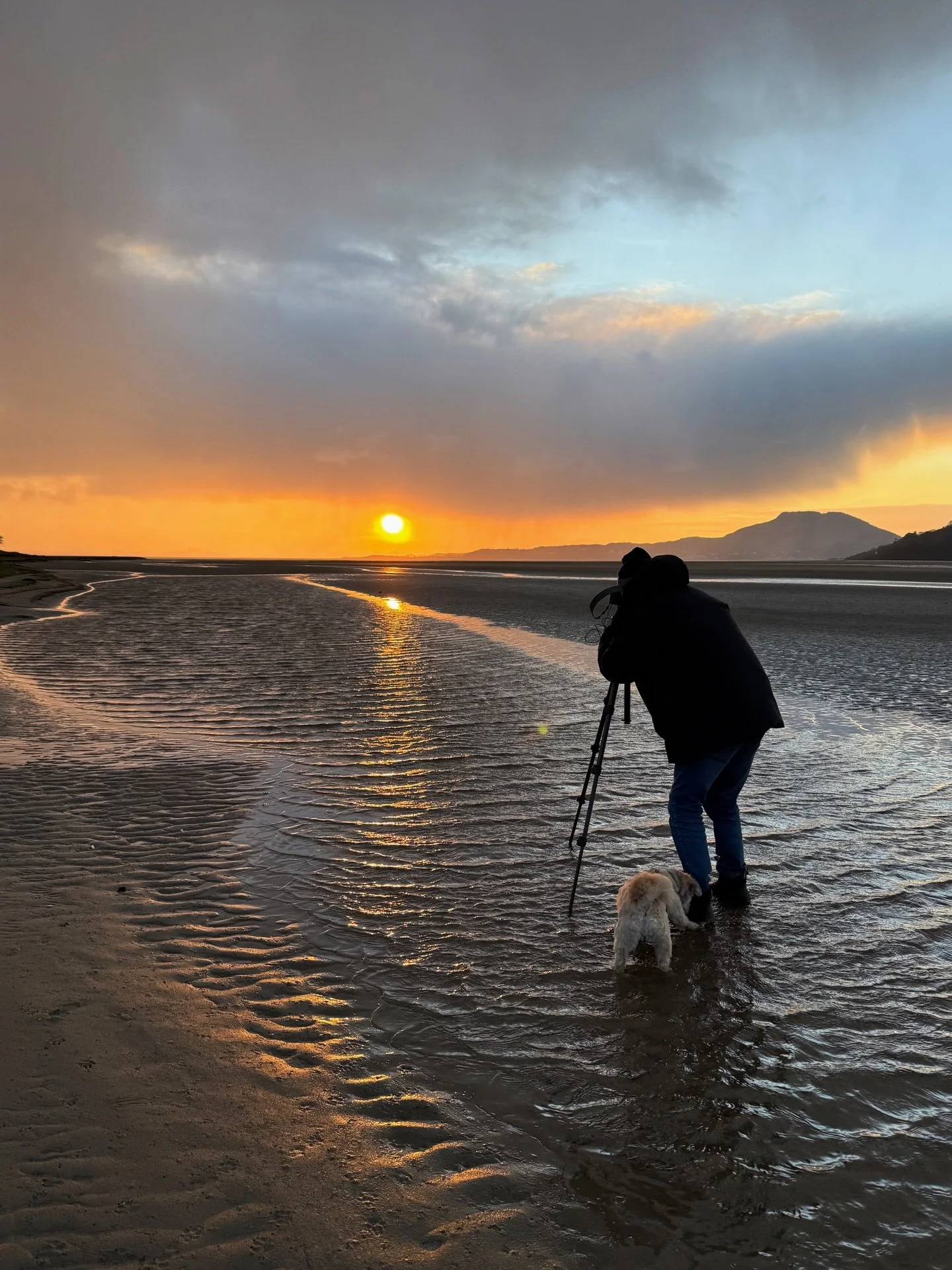 Easter holiday album! I refuse the word &ldquo;dump&rdquo;, sorry. Hope you had a lovely one? Here in Wales, Easter brought with it: 
🌄 Me photographing my dad photographing the sunset
🐈 A cat in the original stone pantry cupboard built into the si