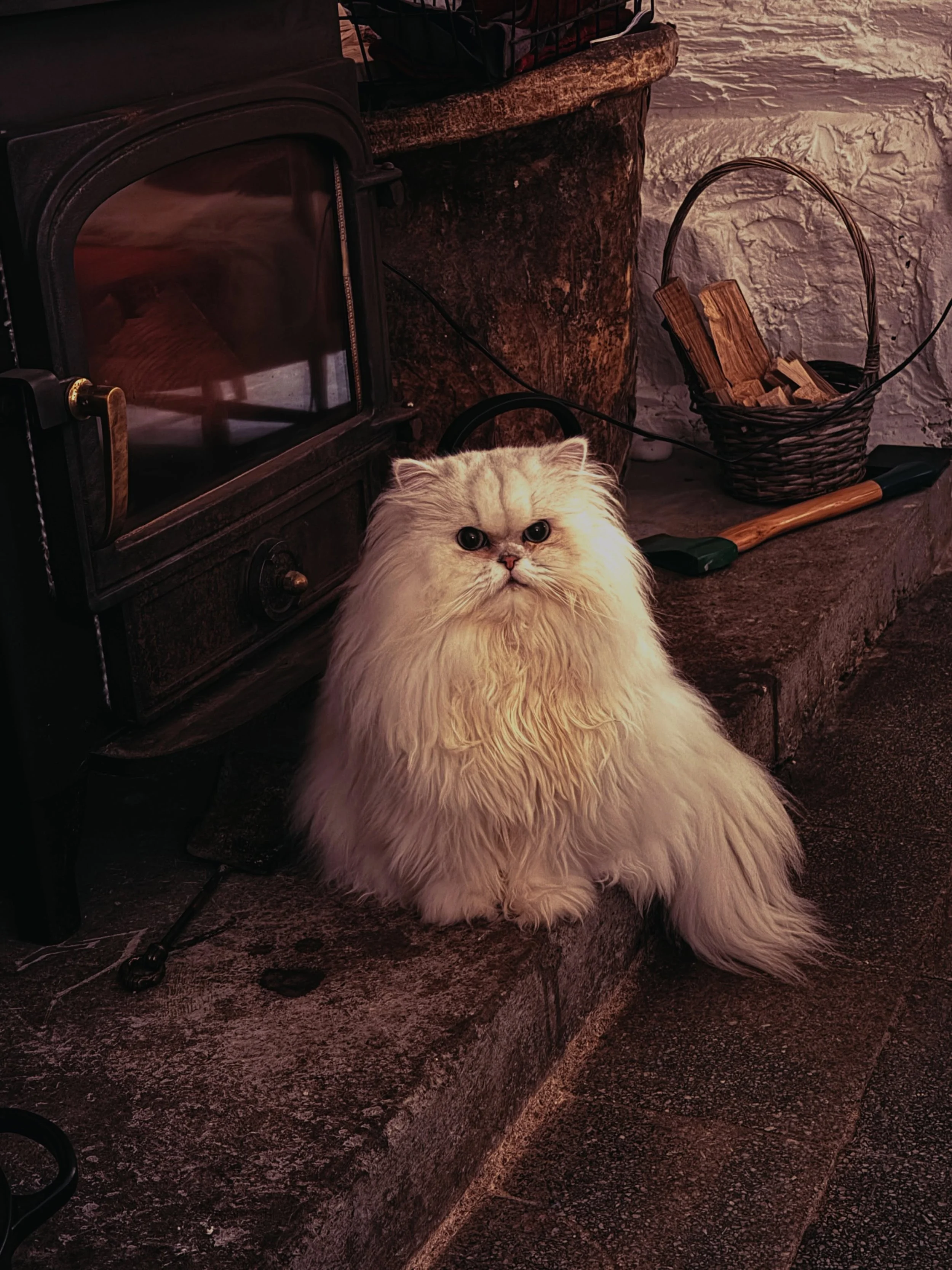 Lord of the hearth. Apparently the nightly offering is late.