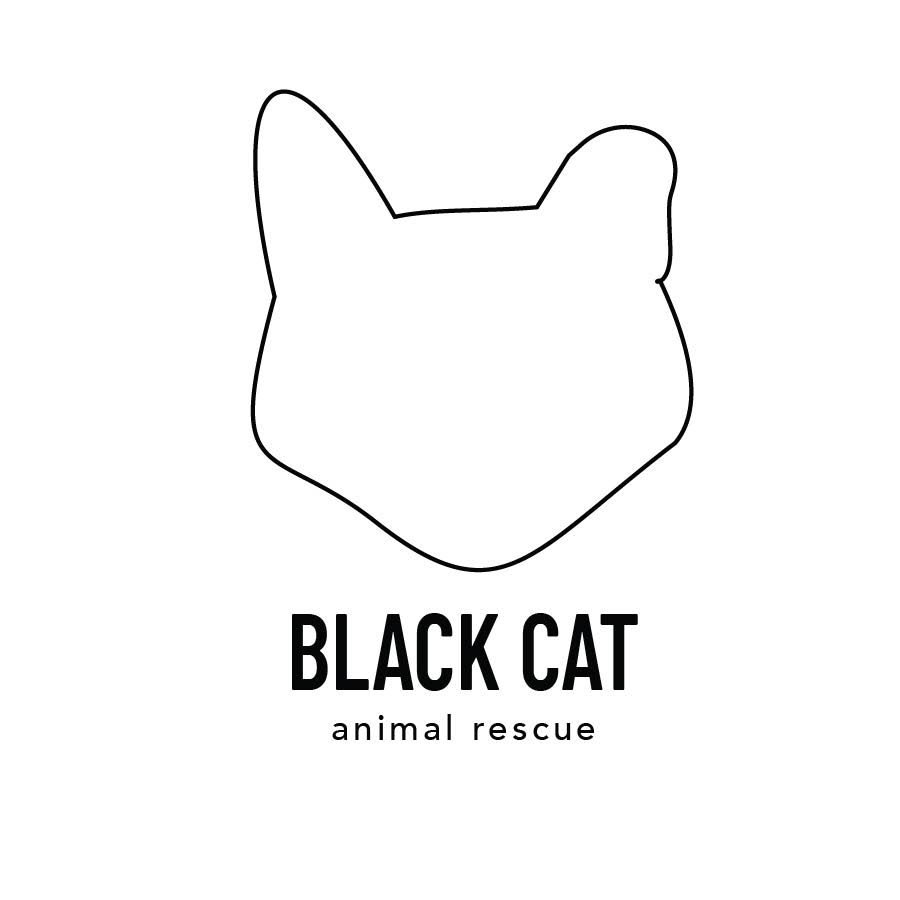 Black Cat Animal Rescue