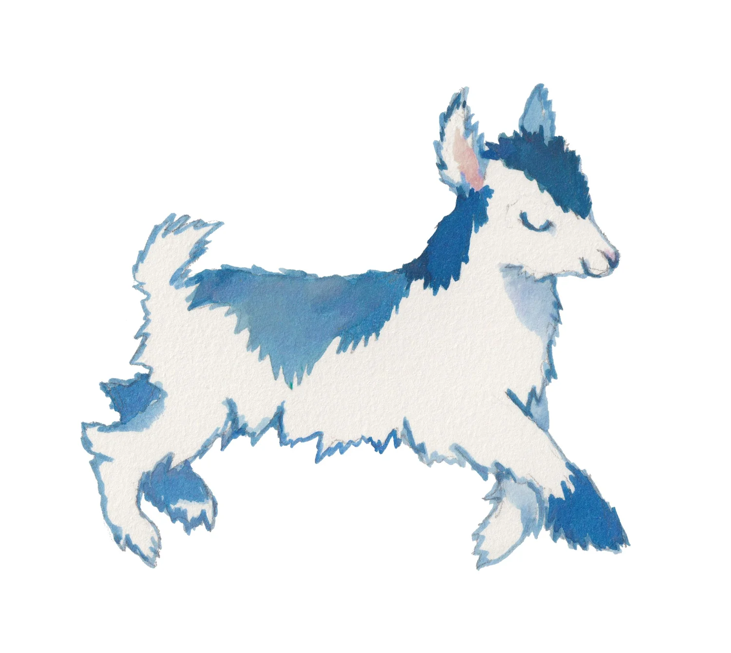 Stowe Farm Pediatrics | Suttons Bay | Leelanau County, Michigan ...