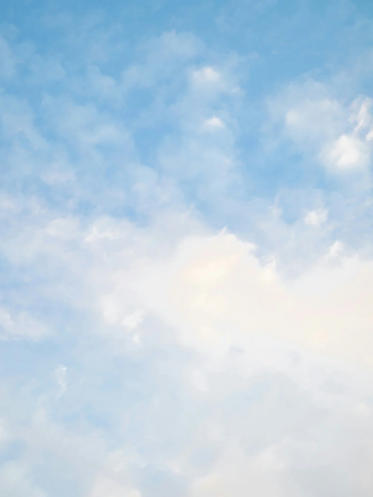 As in Heaven 2026 Spring Experience