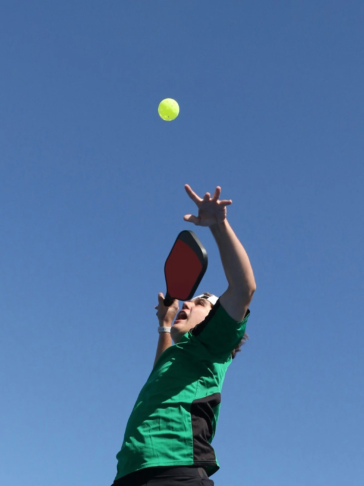 Young Adults Pickleball