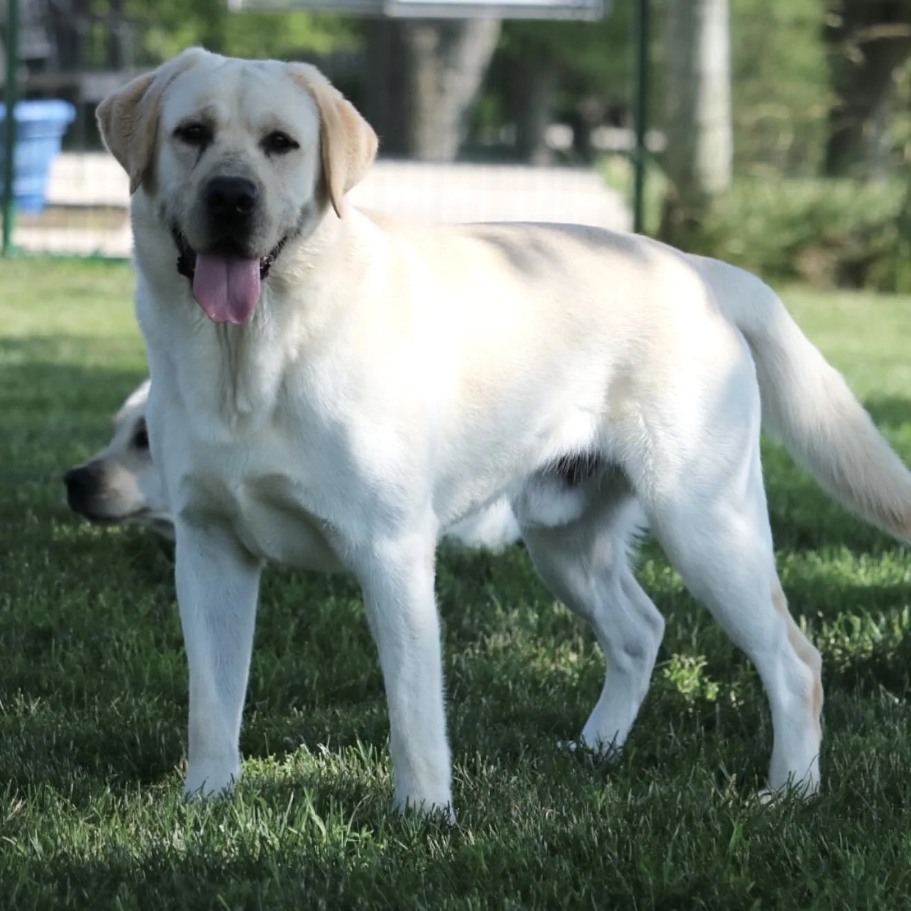Sully05.jpg