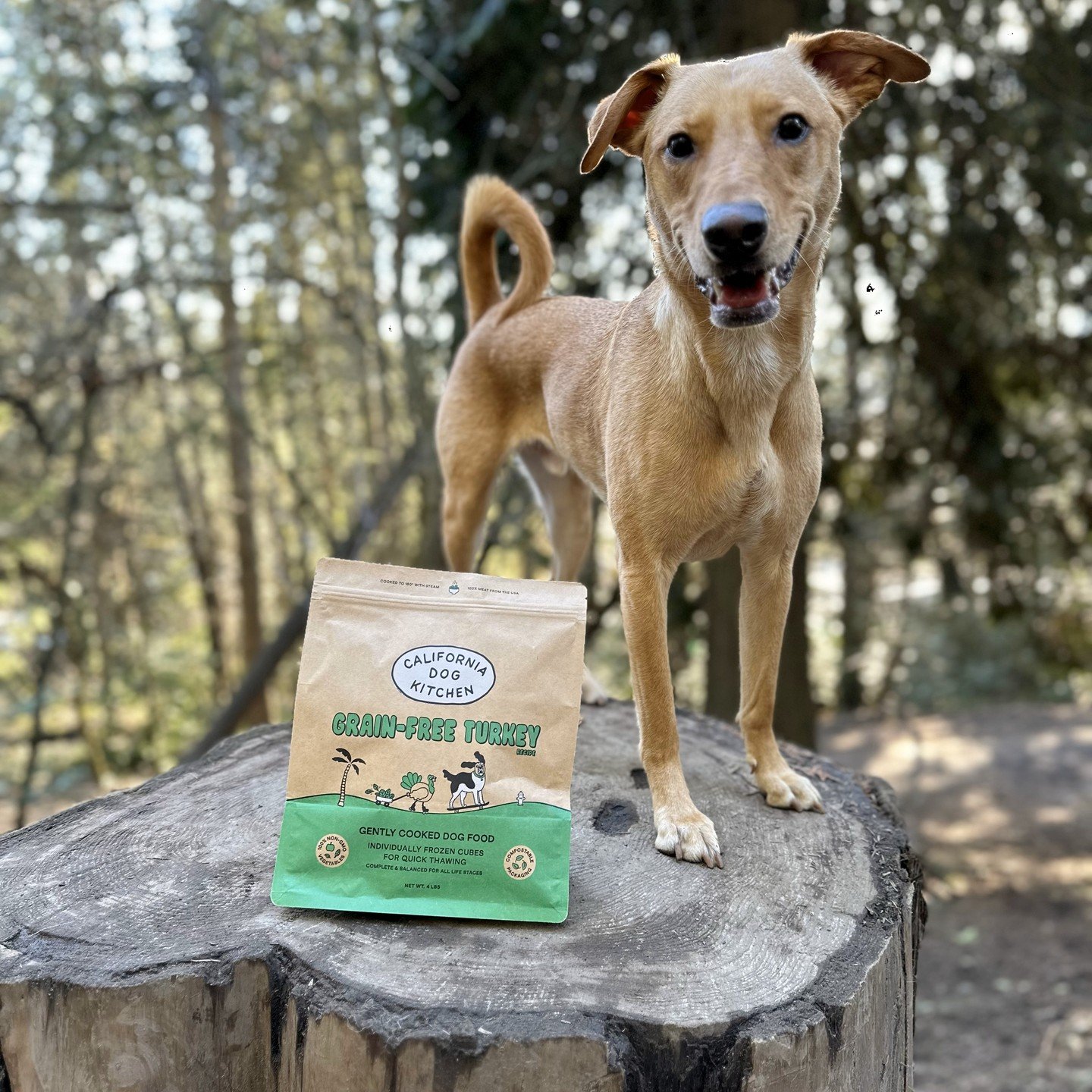 We may be California Dog Kitchen, but you can find us at over 50 retailers in the PNW, and starting this week, select stores in the Bay Area. Check out our handy store locater on our website to find an independent retailer near you. 🌲

This is Ollie