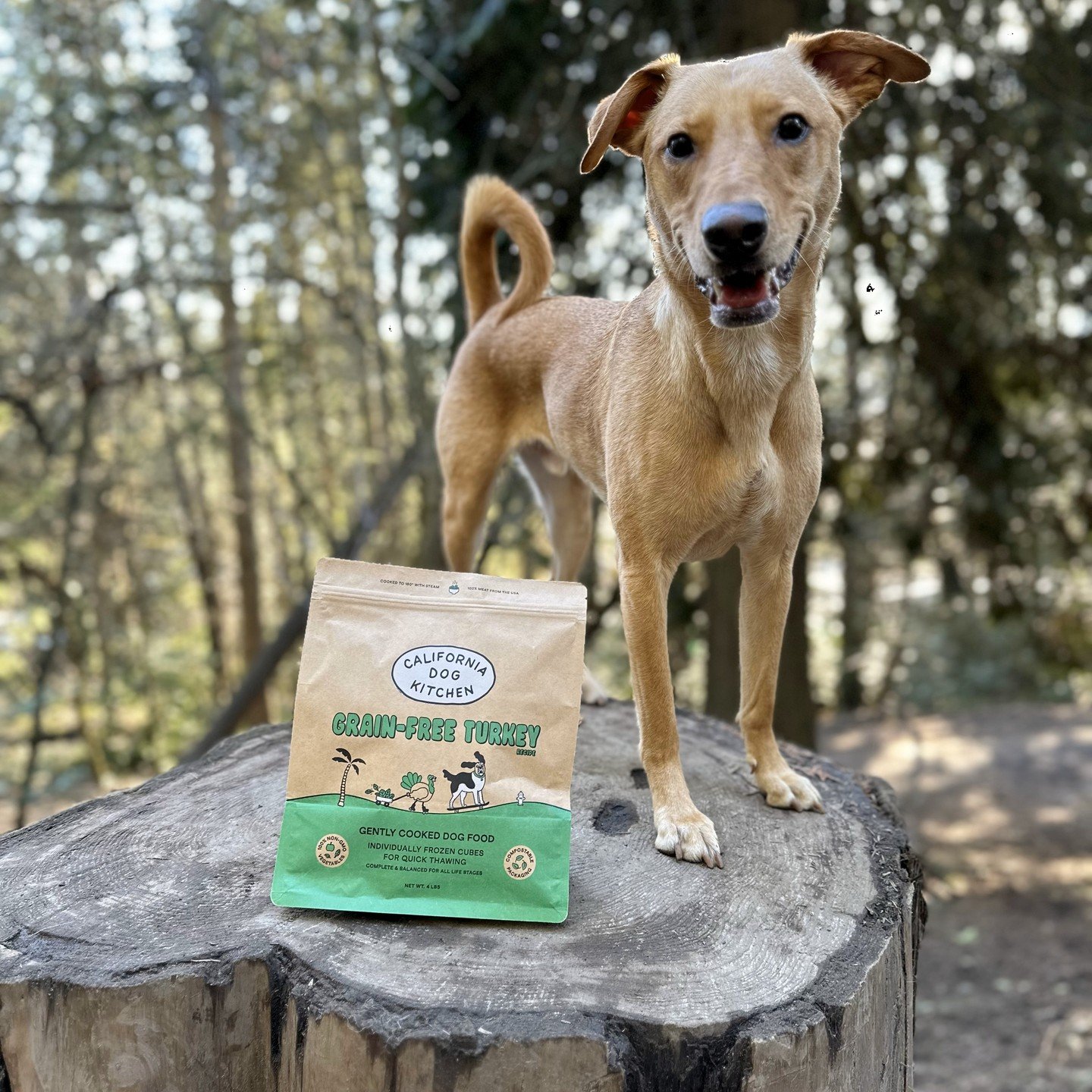 Cal Ranch Dog Food A Comprehensive Review for Your Canine Companion. Cal Ranch Dog Food A Comprehensive Review for Your Canine Companion.