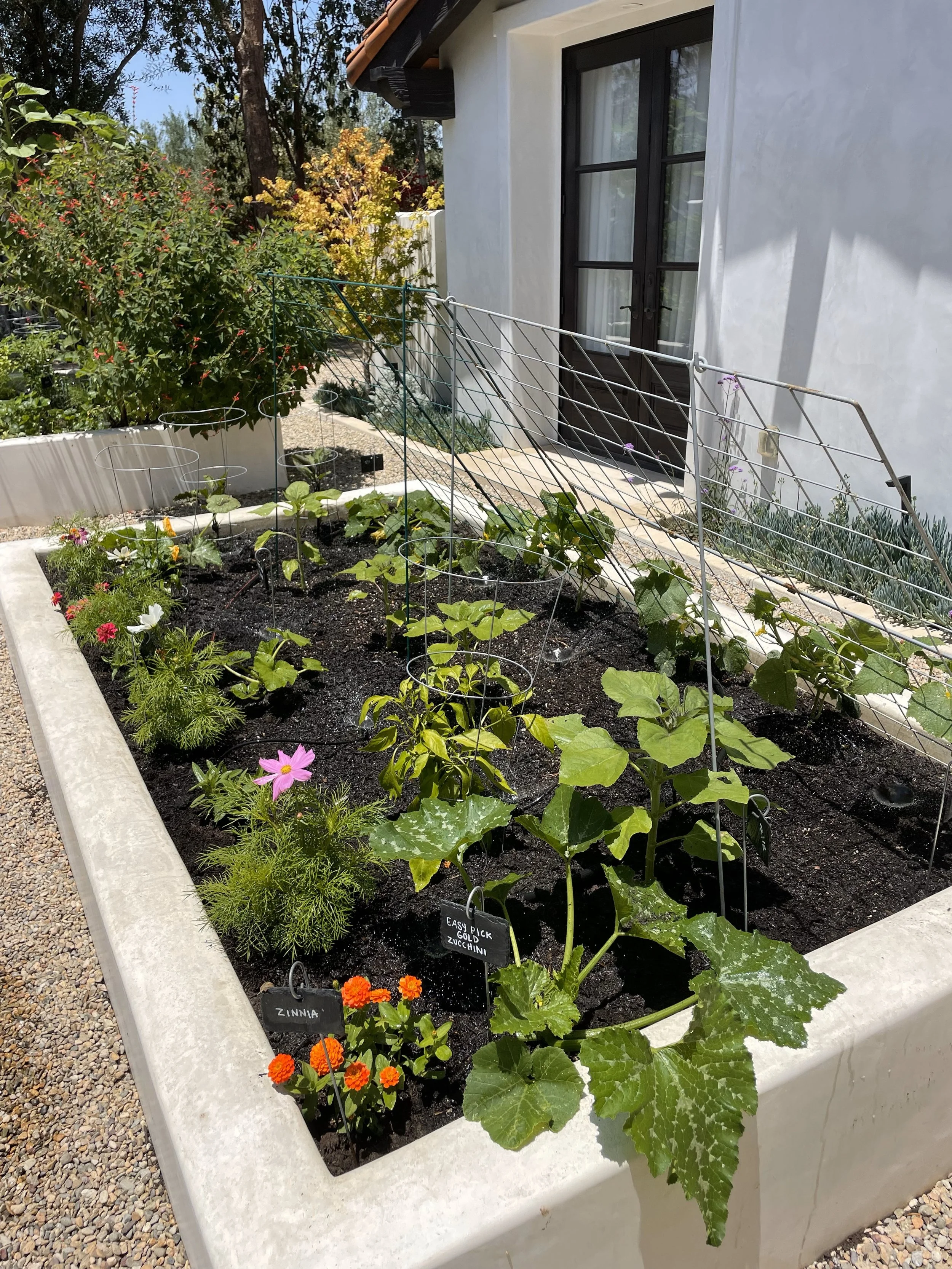 Modern Vegetable Garden