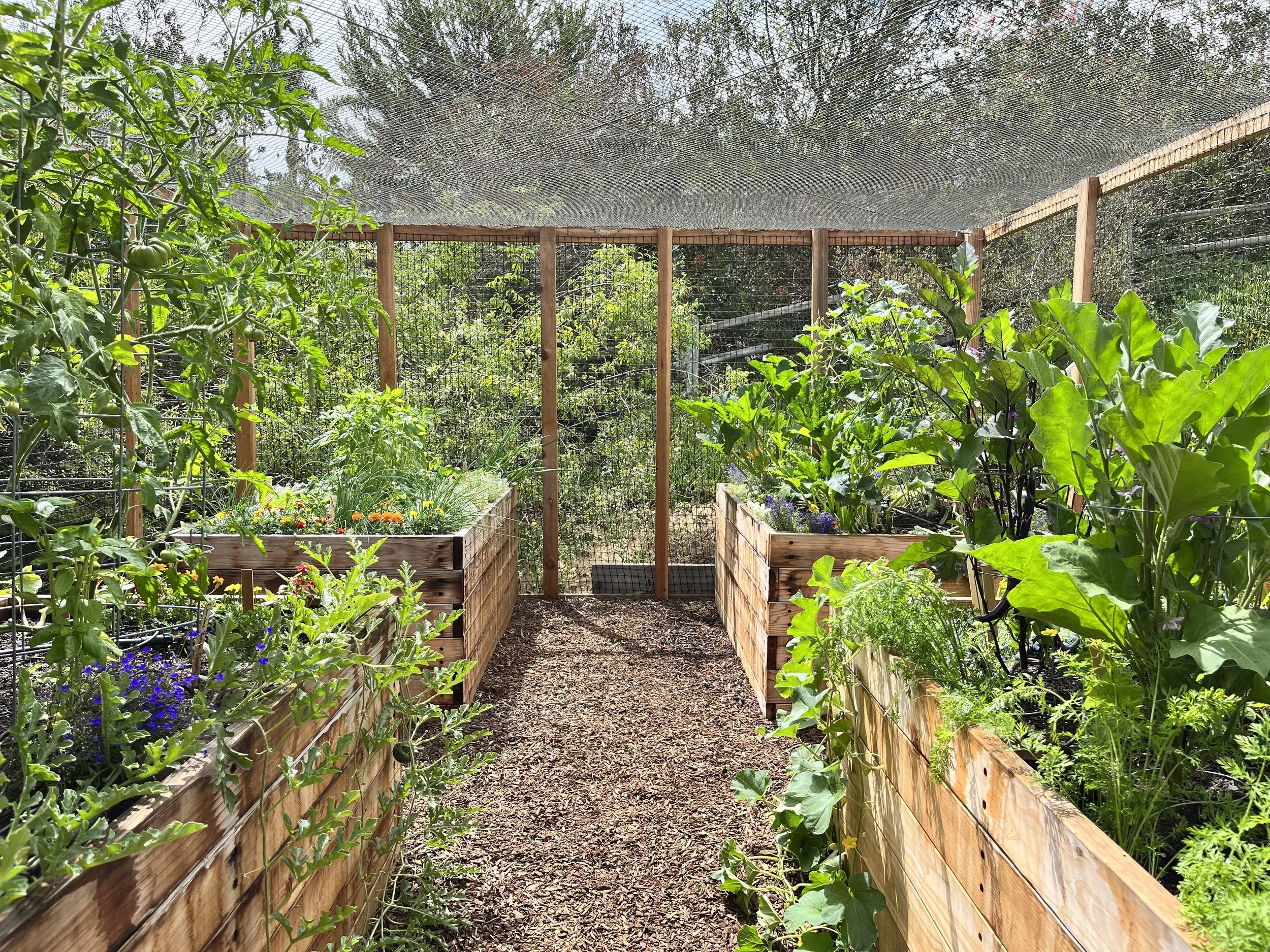 Residential Gardens and Orchards - California Farm & Garden