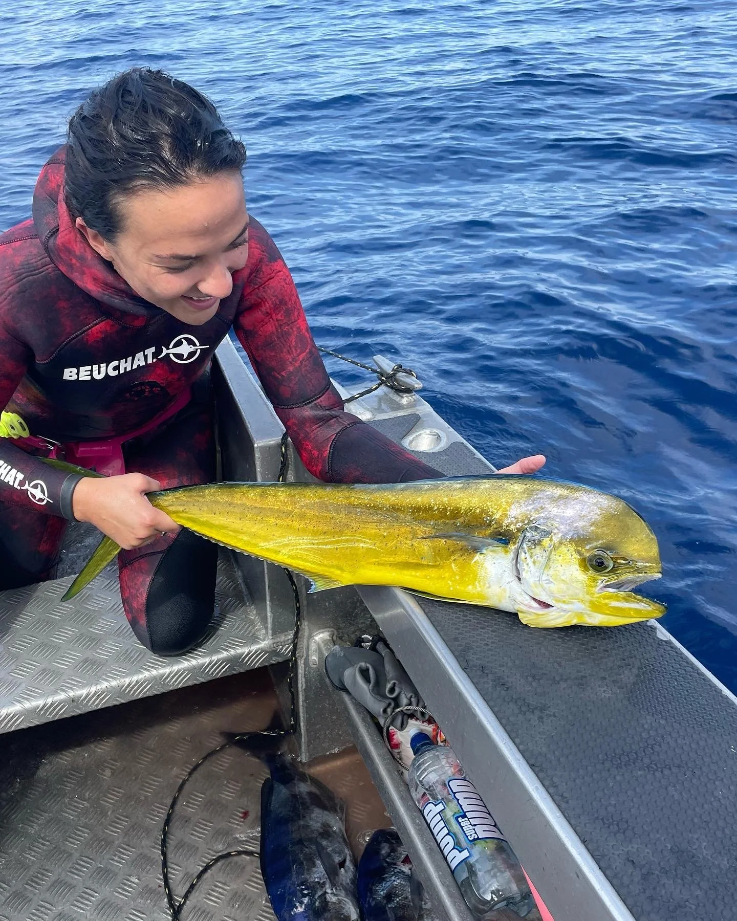 Spearfishing in the Coromandel with guided freediving charter in New Zealand