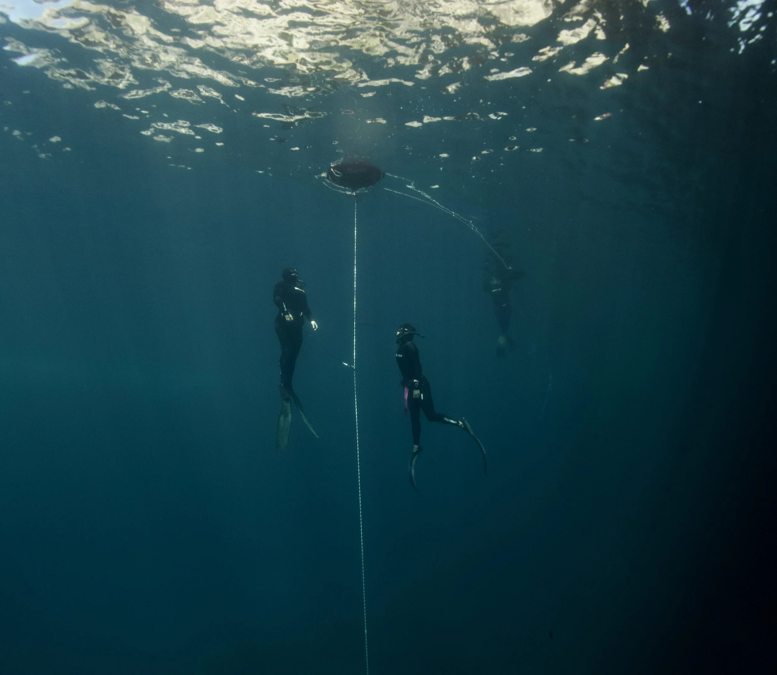 fishing catch onboard boat charter