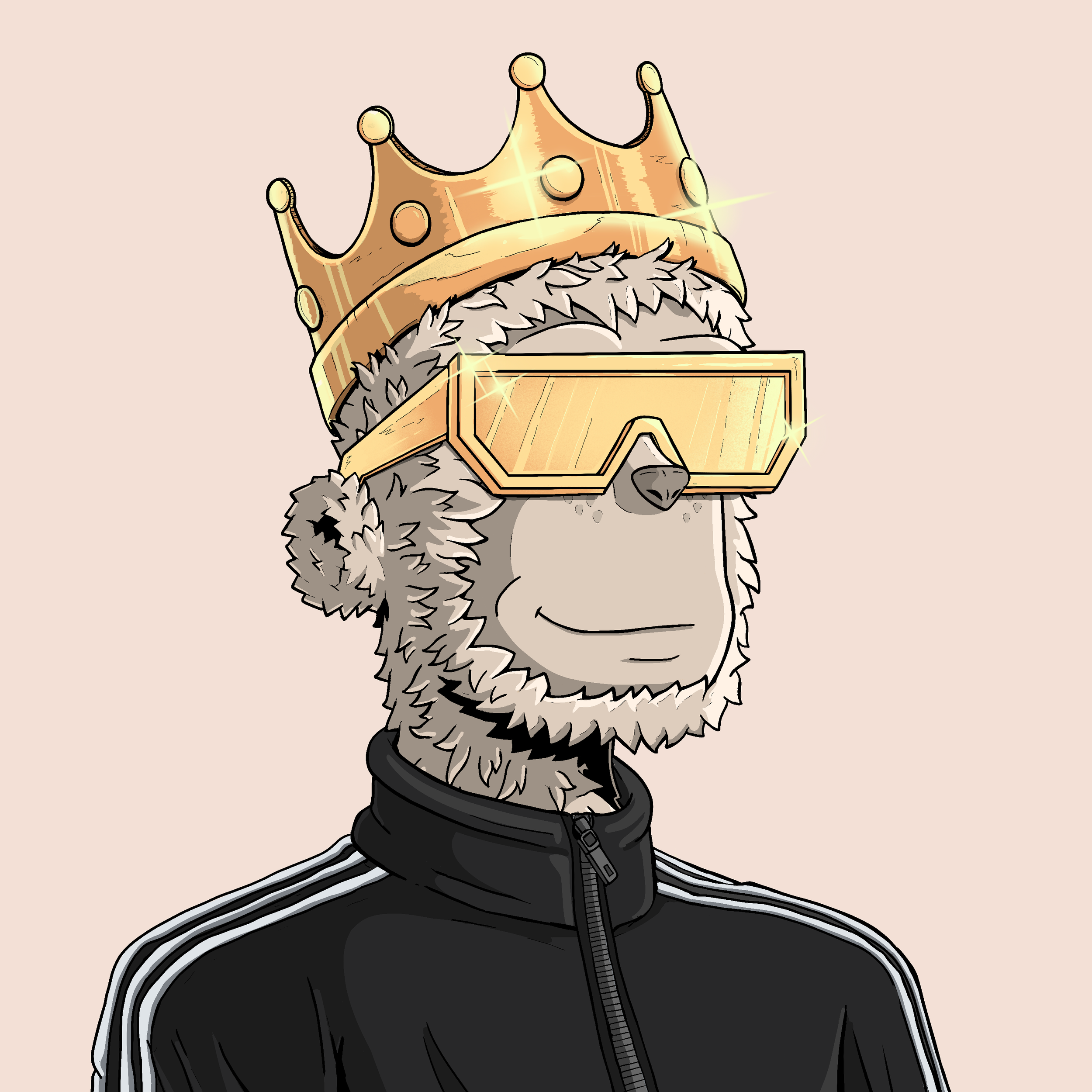 2164 (1).png