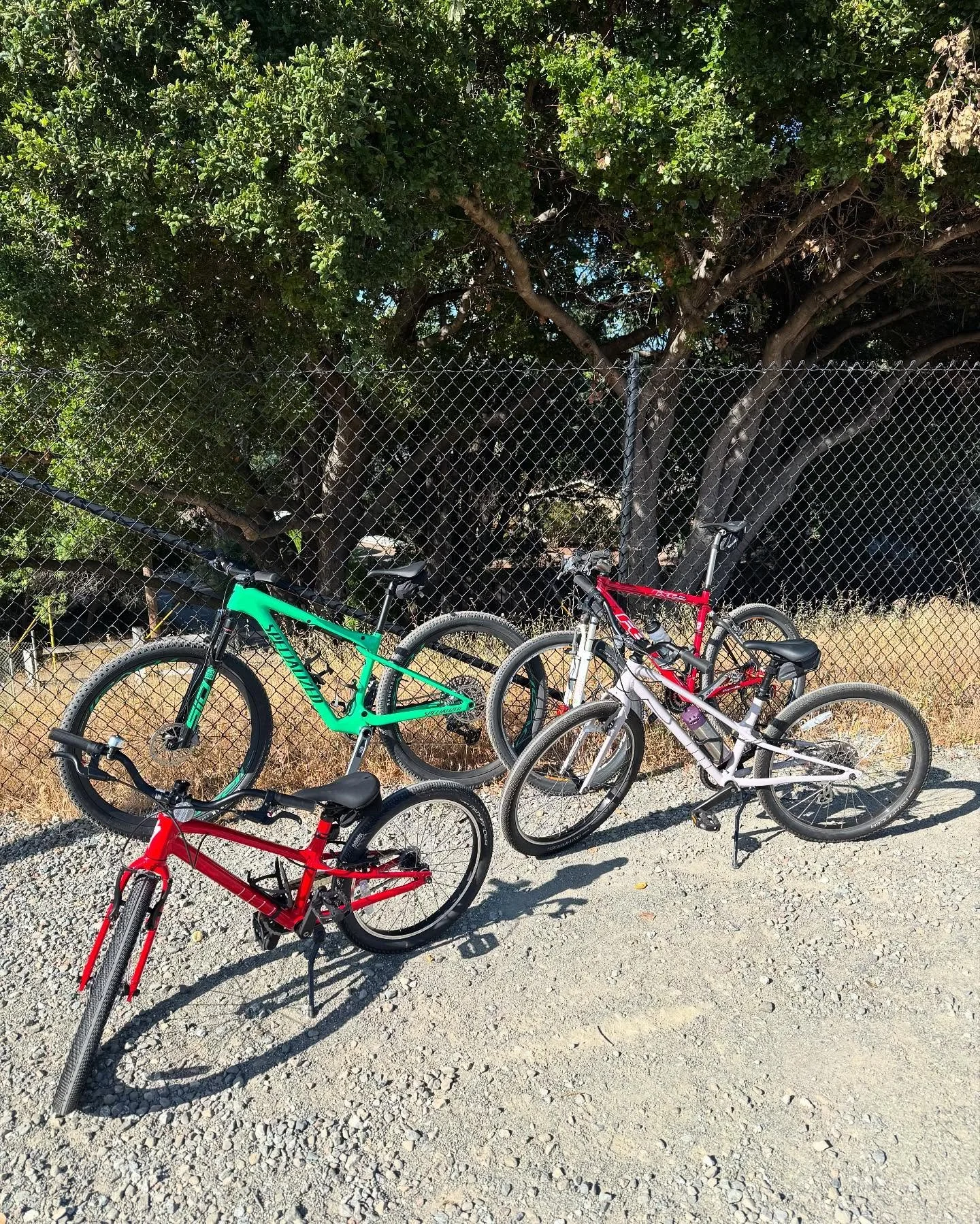 When the snow melts and cross-country skis are stored away, we aim to trade gliding for pedaling. Biking will keep us outside, moving, and exploring together—even in the off-season. Same spirit, different gear! 💪🌲
#NordicSkiingFamily #XCskii