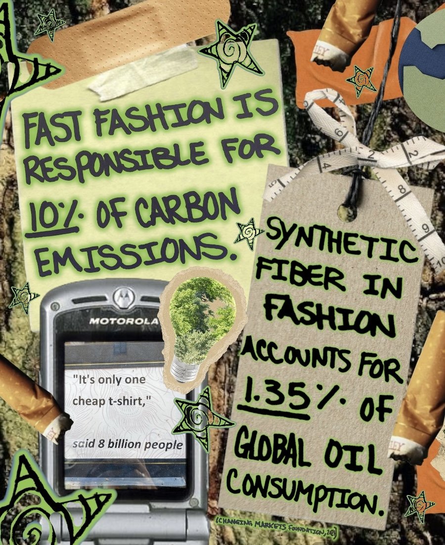 Photoroom_20240816_171155 2.jpg