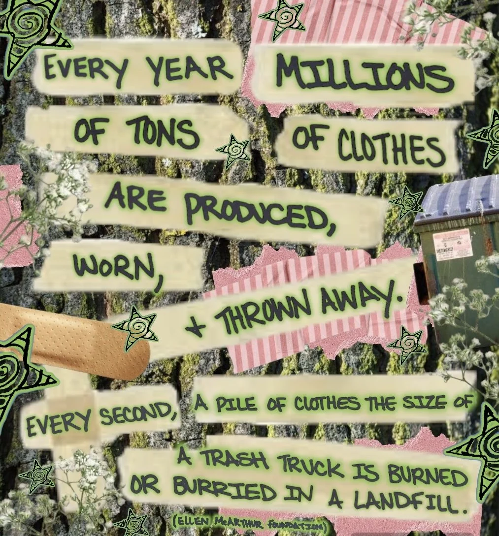 Photoroom_20240816_190135 2.jpg