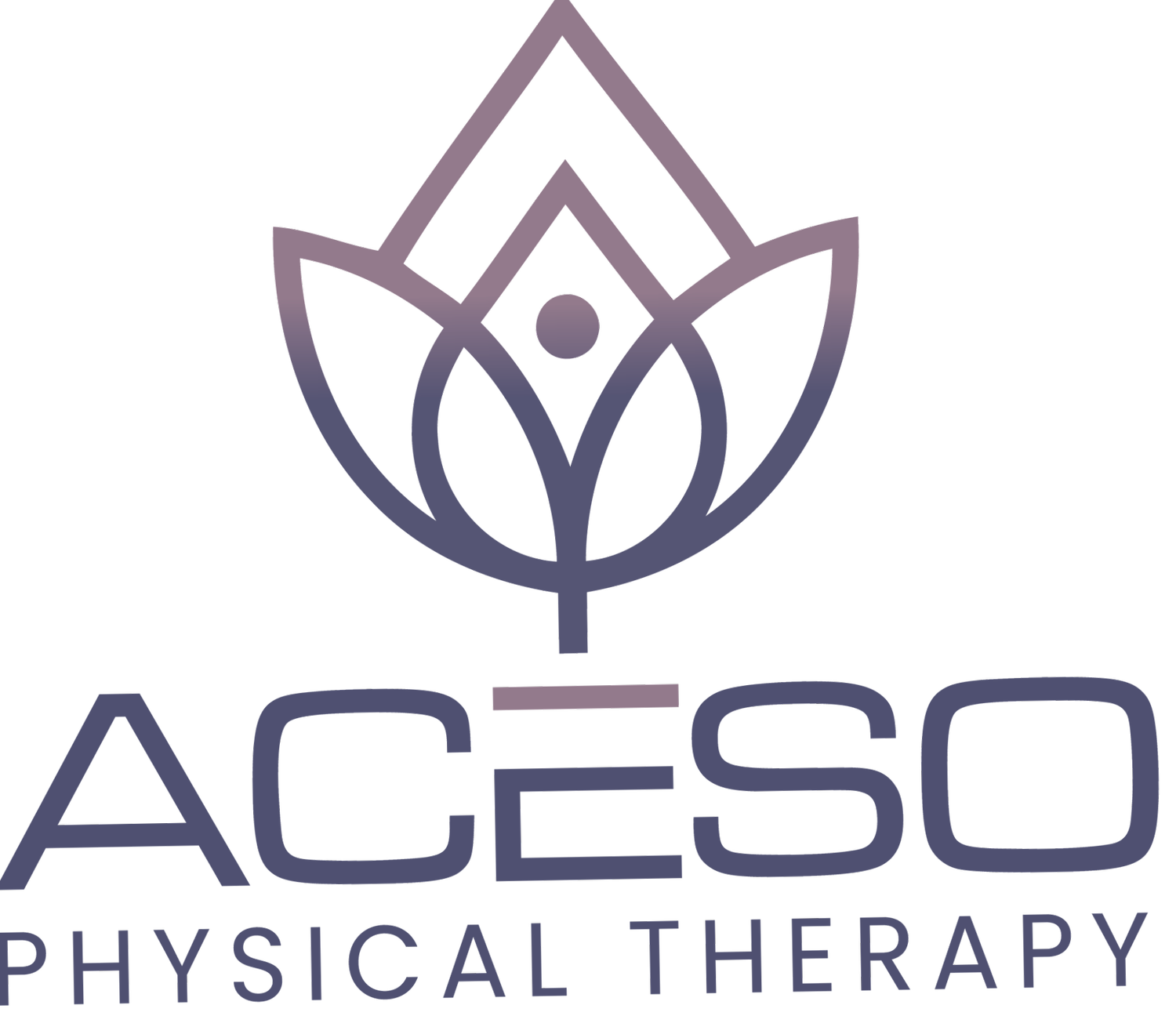Aceso Physical Therapy
