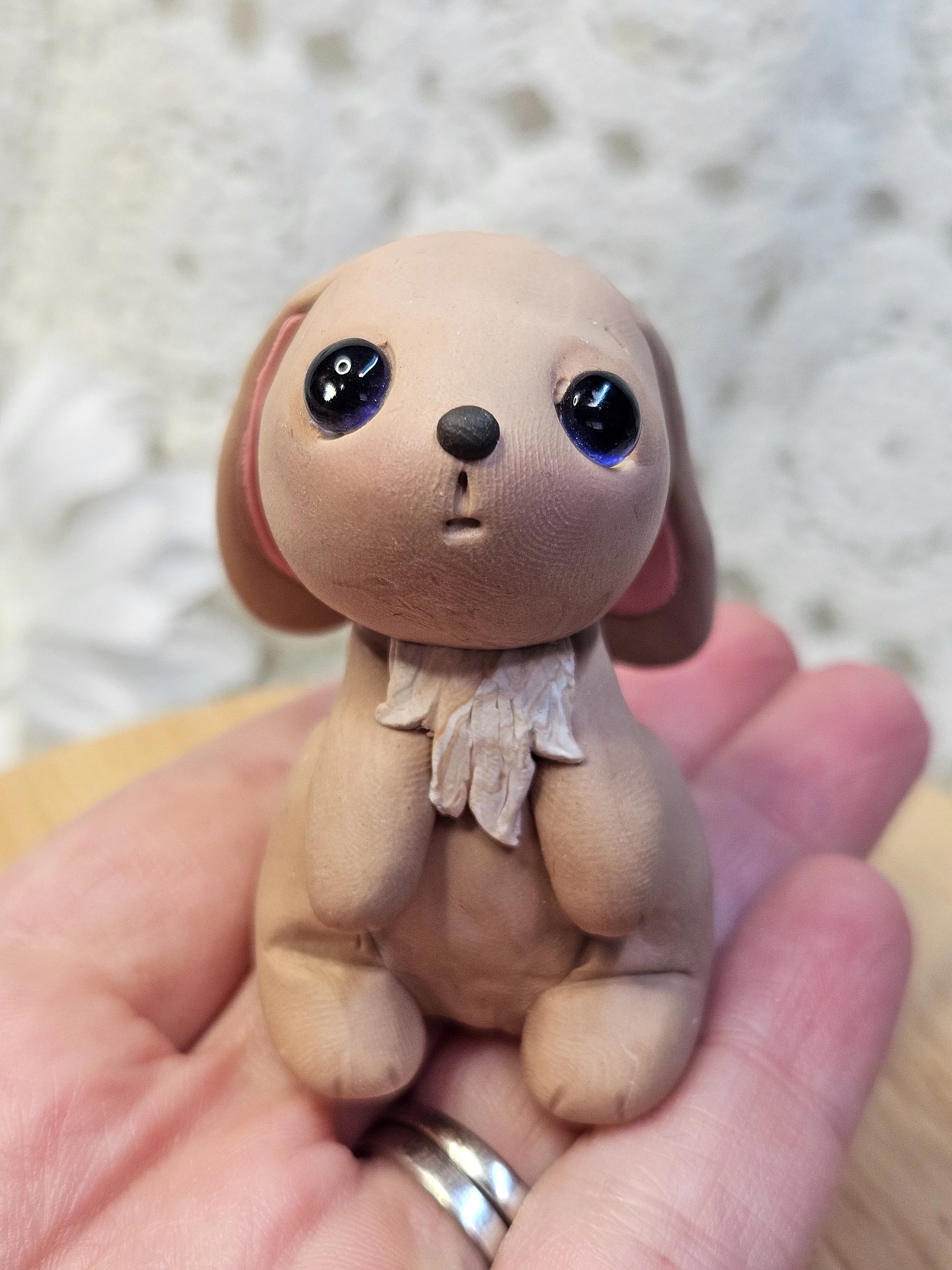 Wonder Bunny