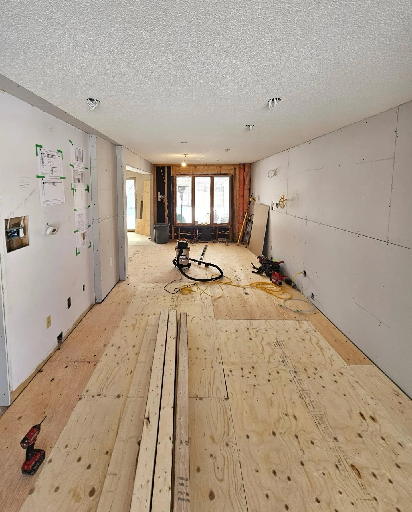 𝗕𝗢𝗨𝗚𝗛 𝗕𝗘𝗘𝗖𝗛𝗘𝗦 𝗣𝗥𝗢𝗝𝗘𝗖𝗧
Progress over perfection ✨
Walls down ✔️
Rough-ins complete ✔️
New subfloor ✔️
New drywall ✔️

Opening up this space has completely changed the main level of the home - the beautiful light pouring through is o