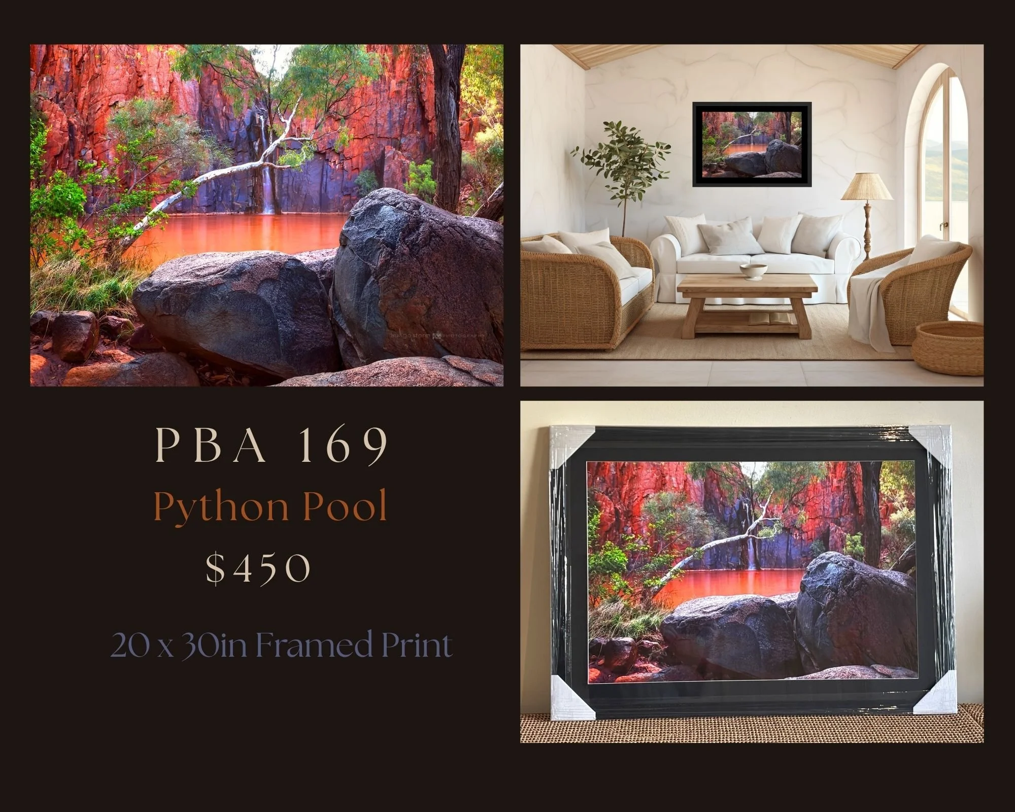 PBA 169 - 20x30in.jpg