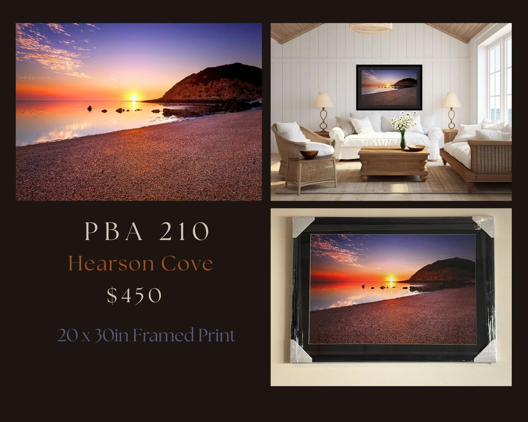 PBA 210 - 20x30in.jpg