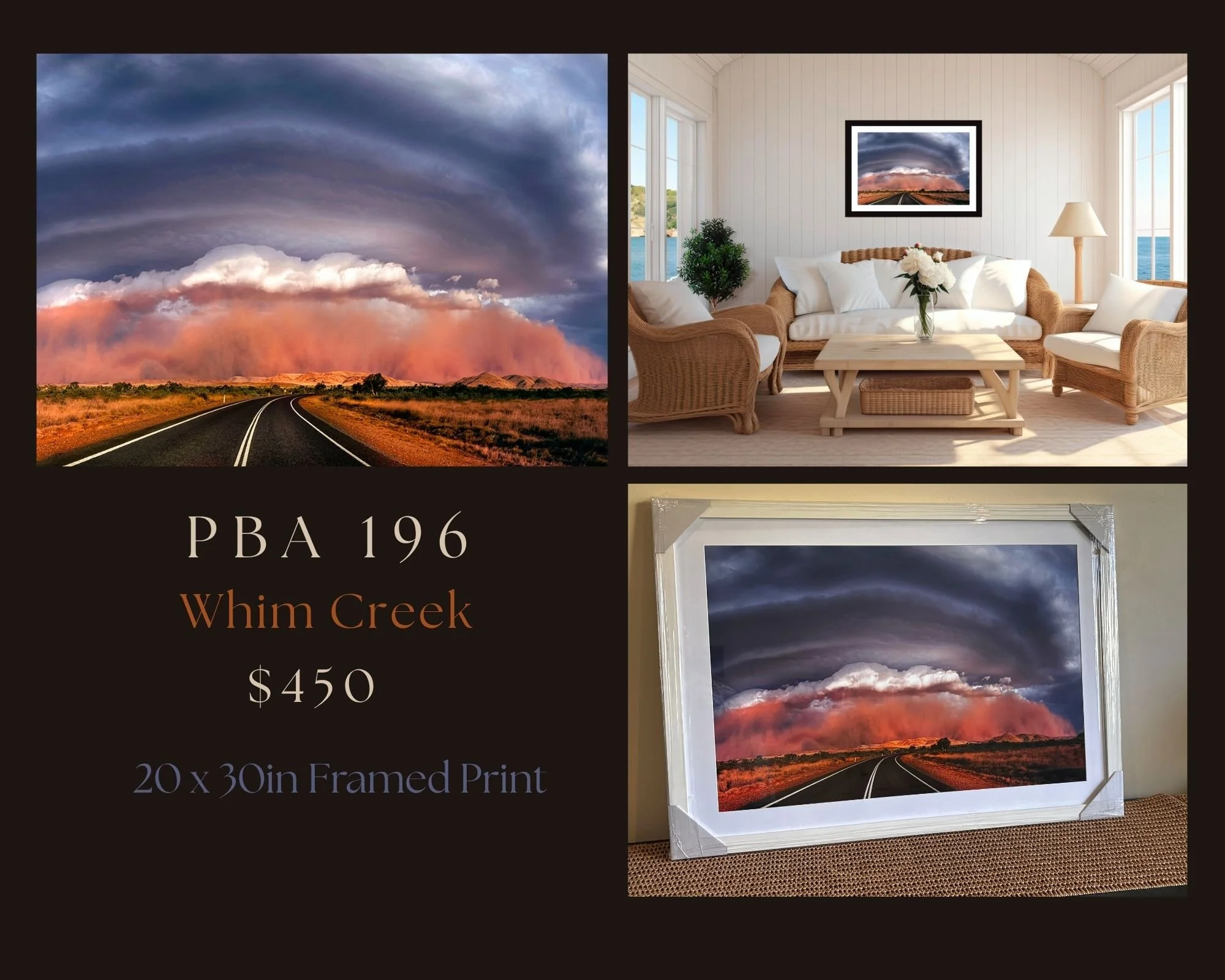 PBA 196 - 20x30in.jpg