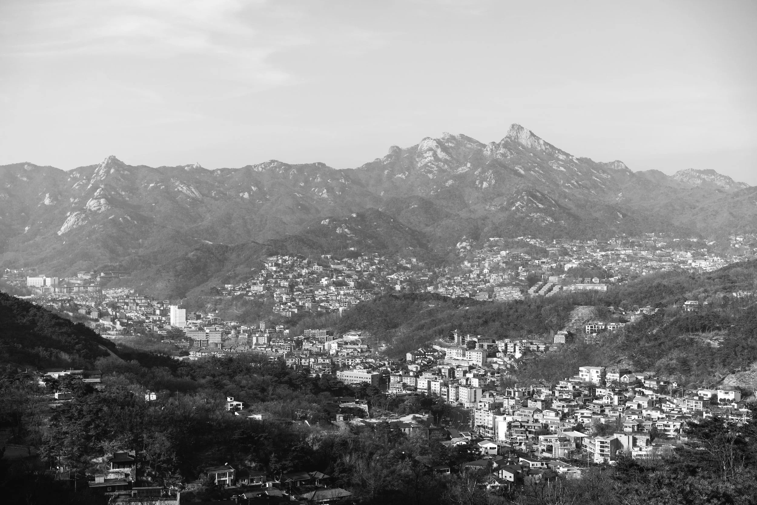 unsplash-image-yNDDjnT0mnw.jpg