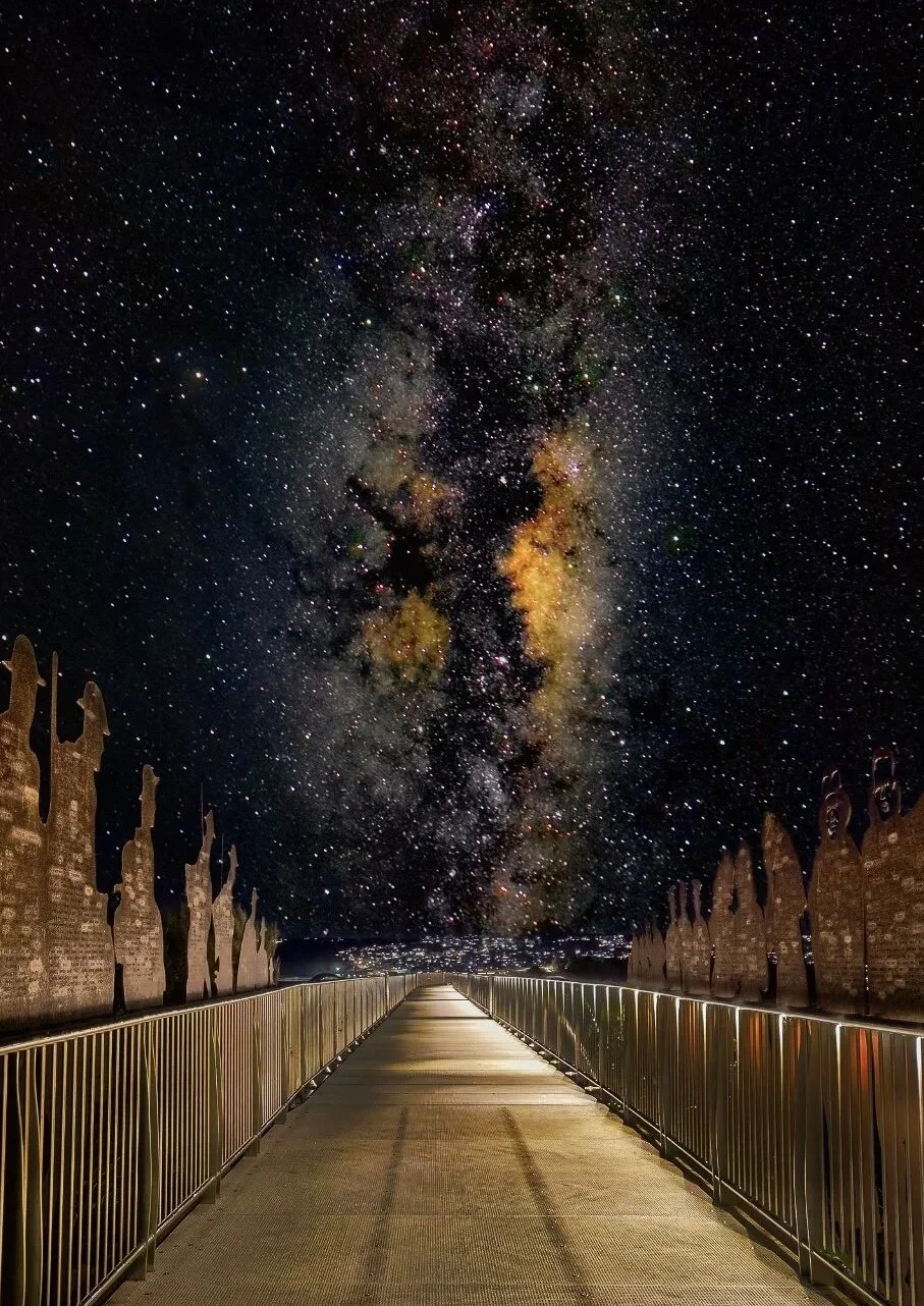 Anzac-Memorial-Walk-c4e513f8_clean__artwork.jpg