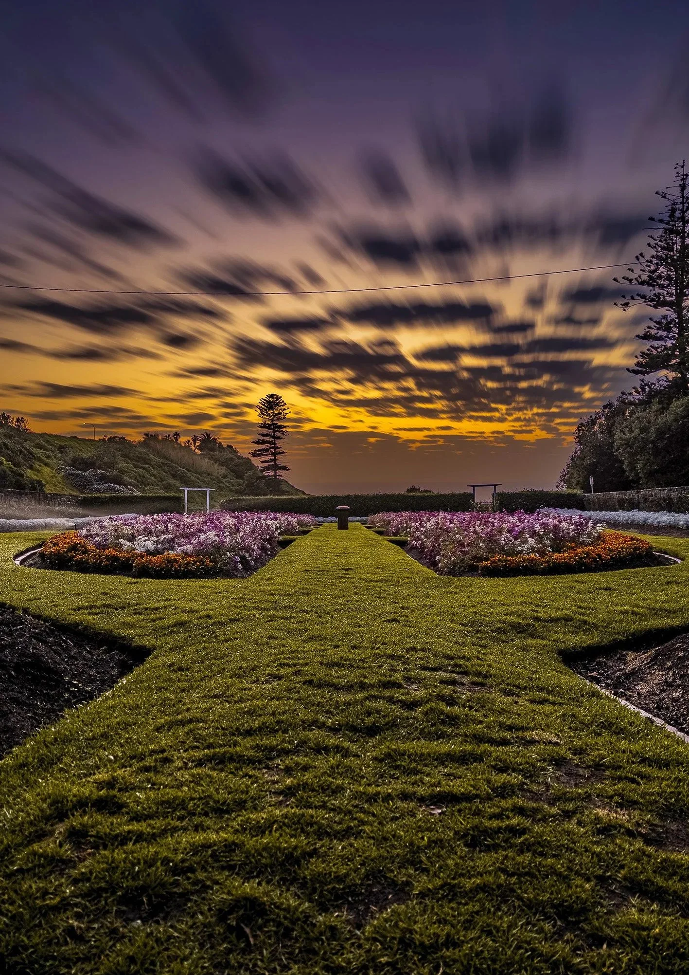 Garside-Gardens-Newcastle-Sunrise-f9f64056_clean__artwork.jpg
