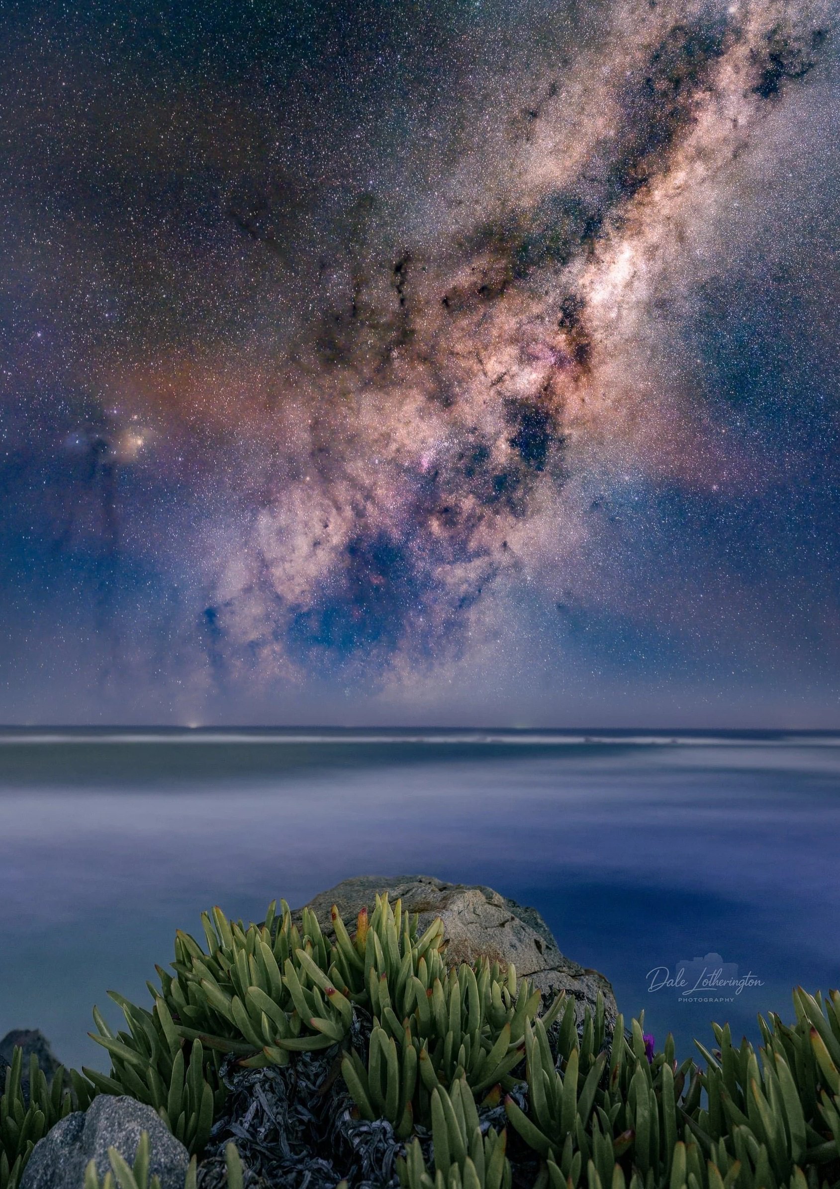 Stargazer’s Path