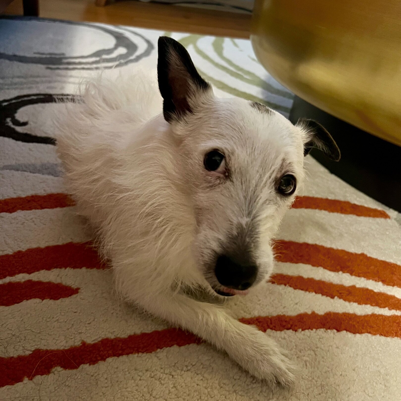 Lately, Tolita has been giving me lots of side eye when I have a snack but don&rsquo;t give her one too. Her face is telling me, &ldquo;You&rsquo;ve got some nerve mama! Eating those crackers and not letting a crumb &lsquo;accidentally&rsquo; drop!&r