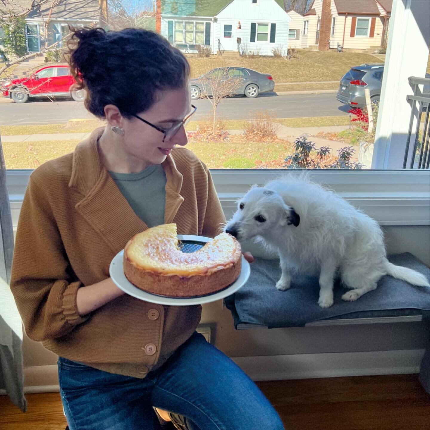 If you&rsquo;ve read &ldquo;Tolita: The Best Bad Dog&rdquo; then you know what this means&hellip;we made a ricotta cake! After testing out Grandma&rsquo;s recipe to make sure we could recreate the famous ricotta cake, we&rsquo;re ready to share it wi