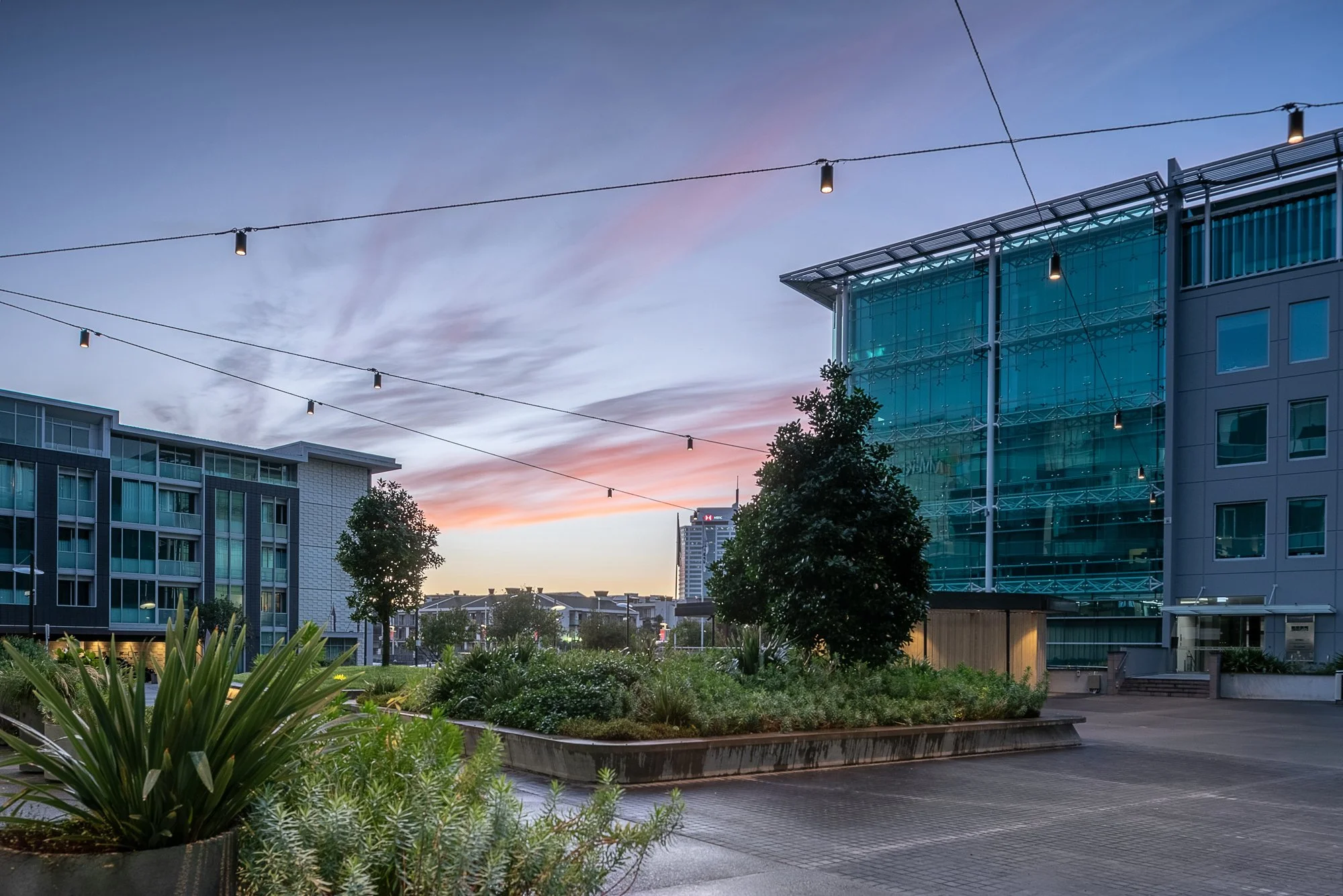 MICROSOFT SQUARE_AUCKLAND_DAS100_25.jpg