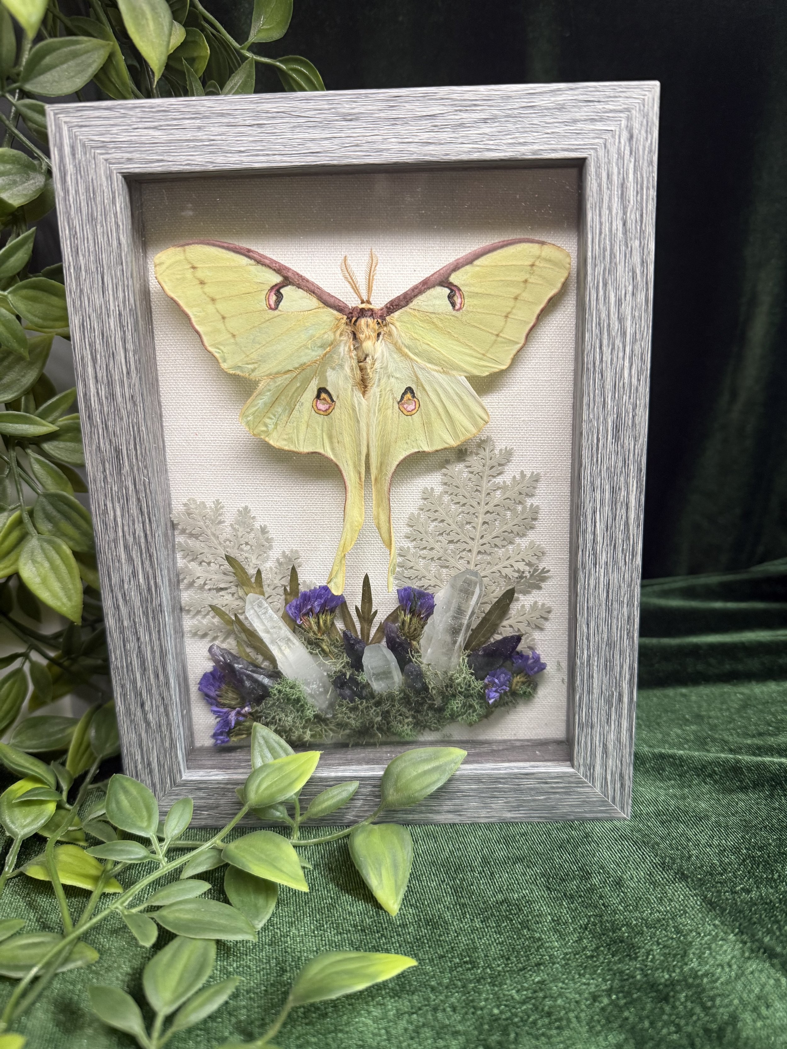 Luna moth with quartz and amethyst
