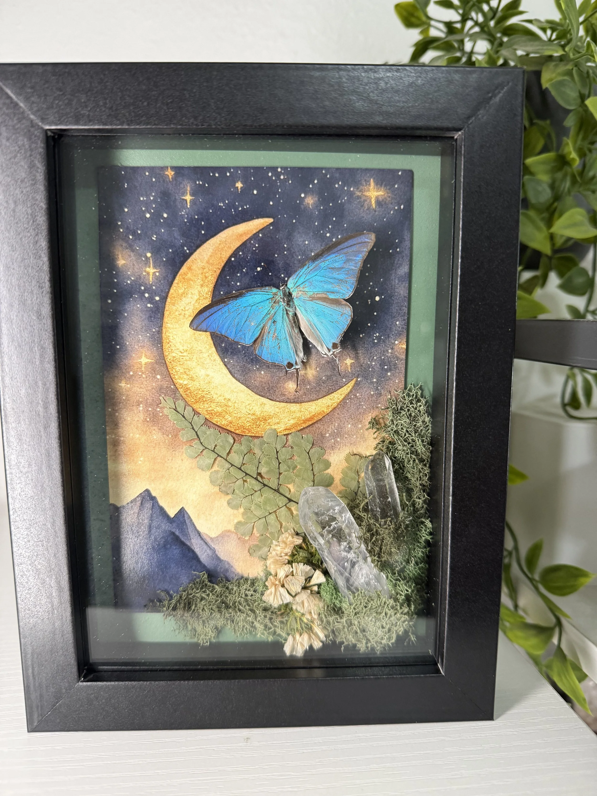 Moon and blue butterfly