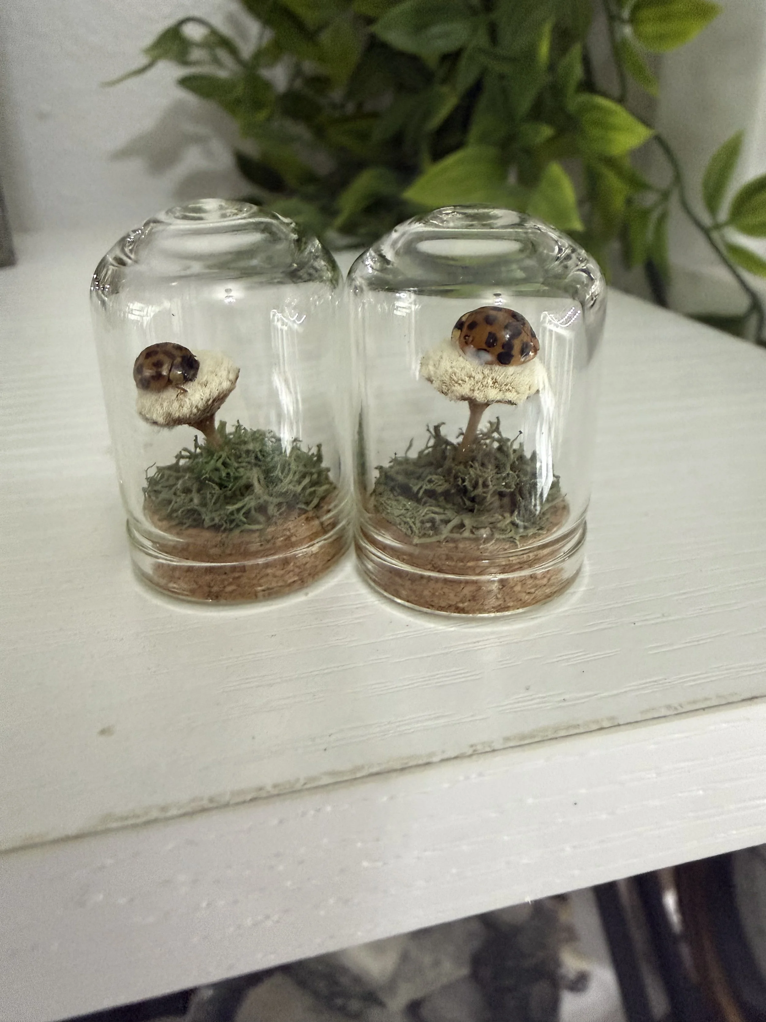 One Ladybug on button flower (no crystal)