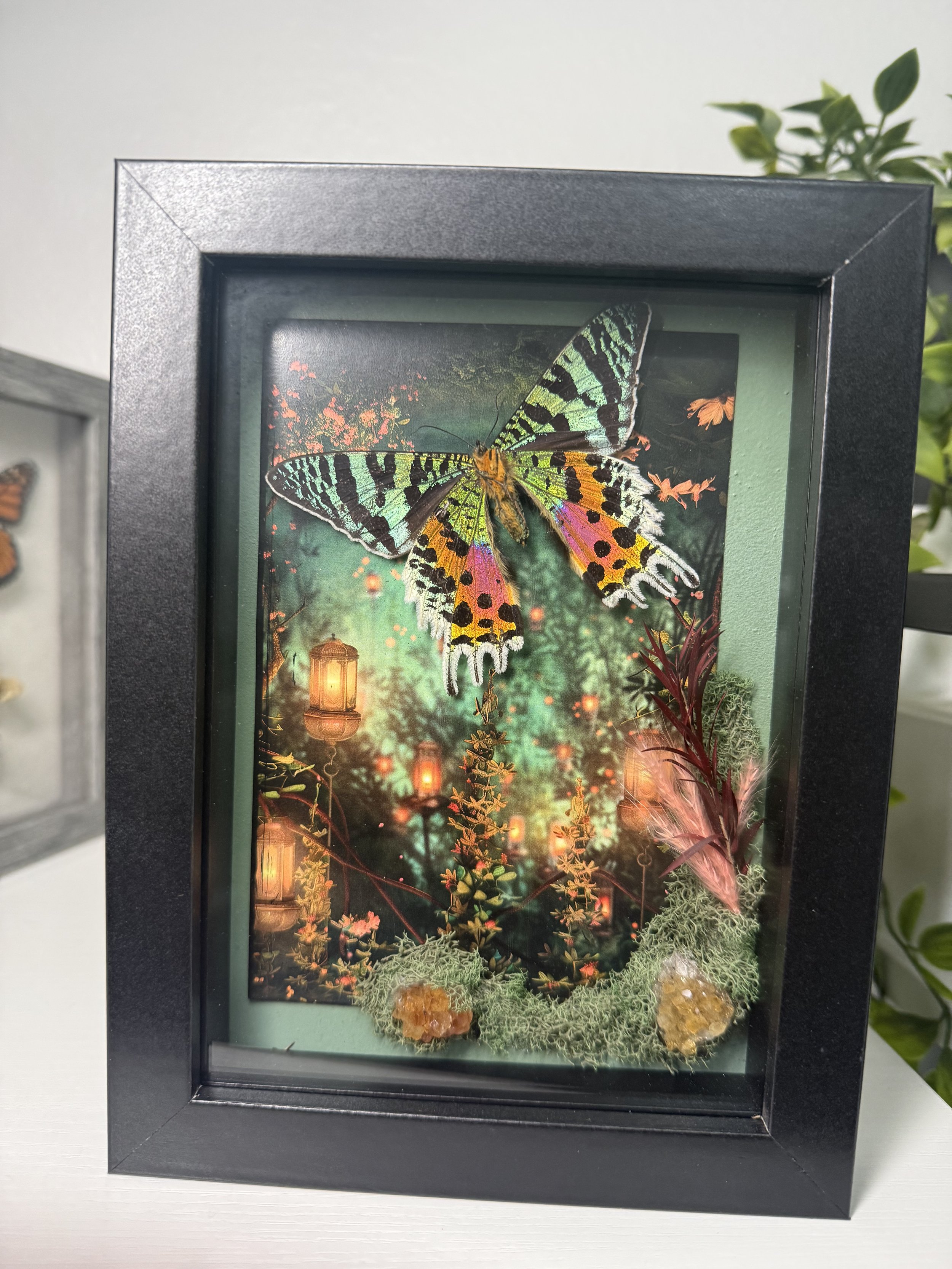 Sunset moth with yellow amethyst