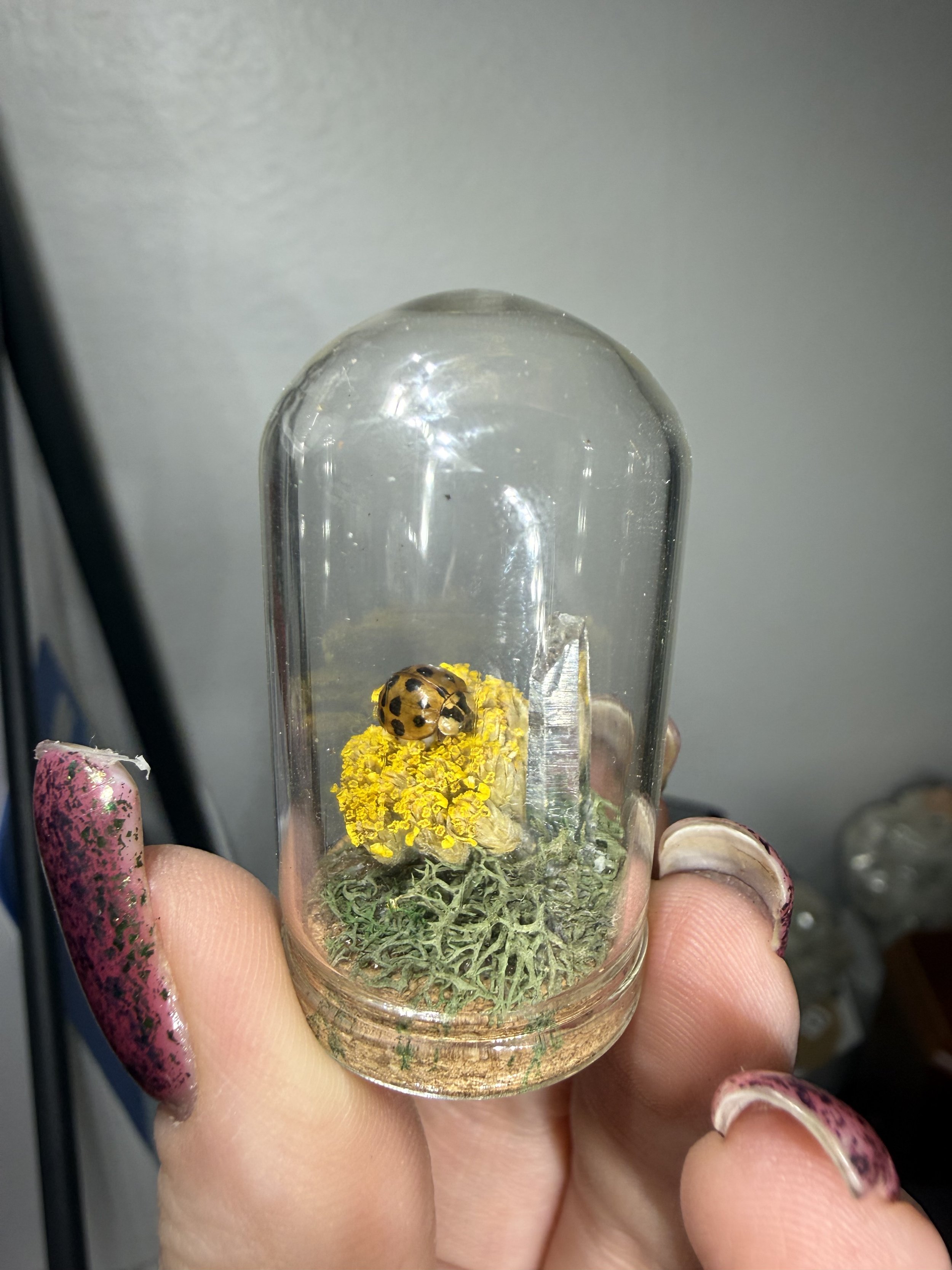 Ladybug on yarrow flower with quartz
