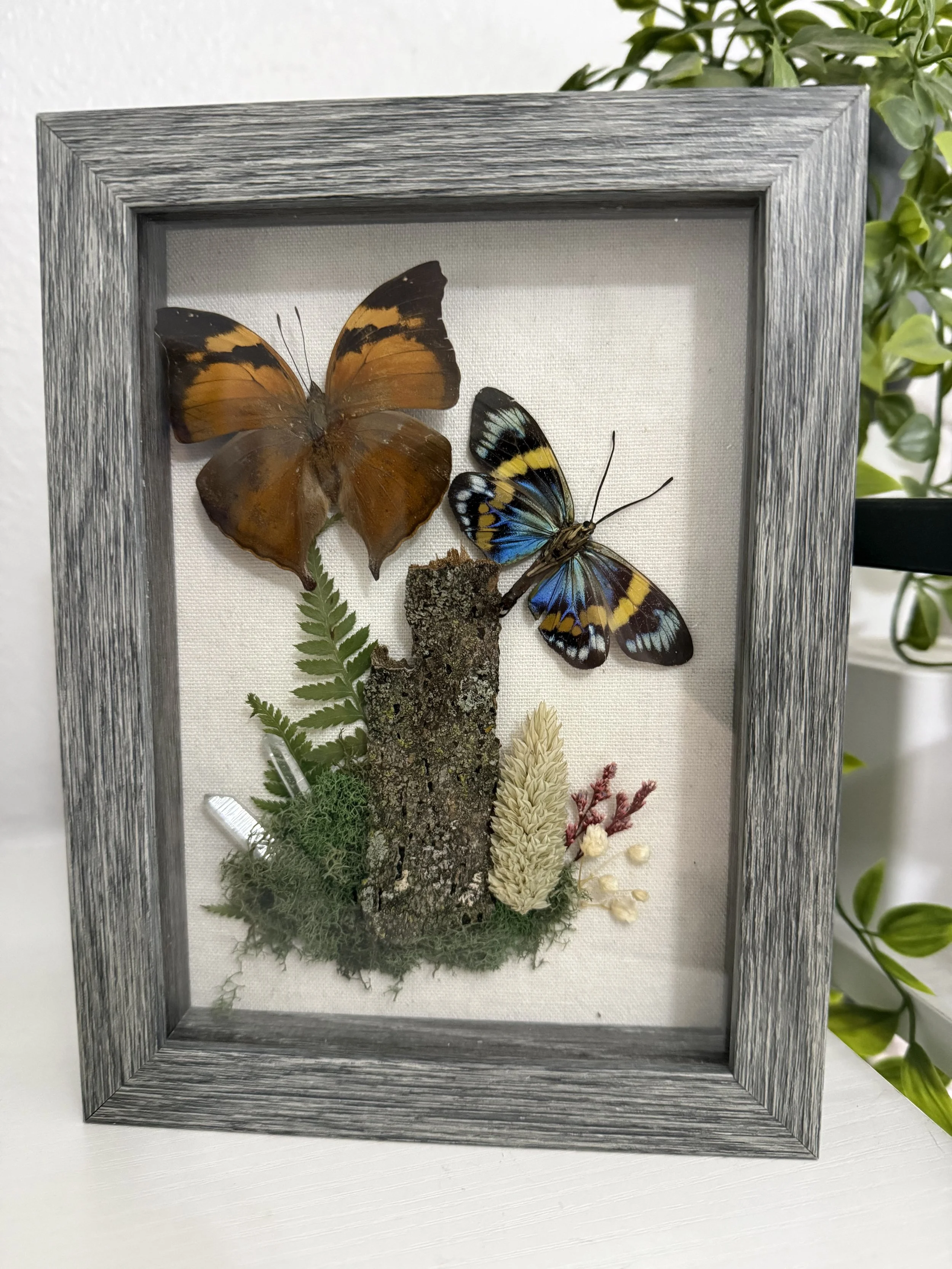 Autumn and Moonlight theme