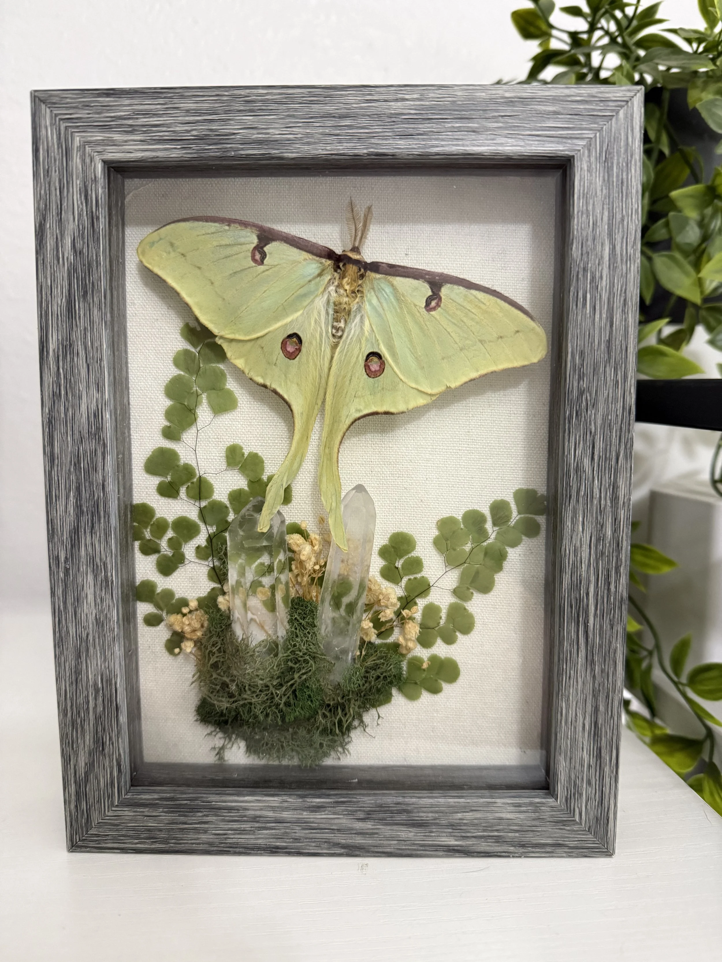 Luna with crystal forest