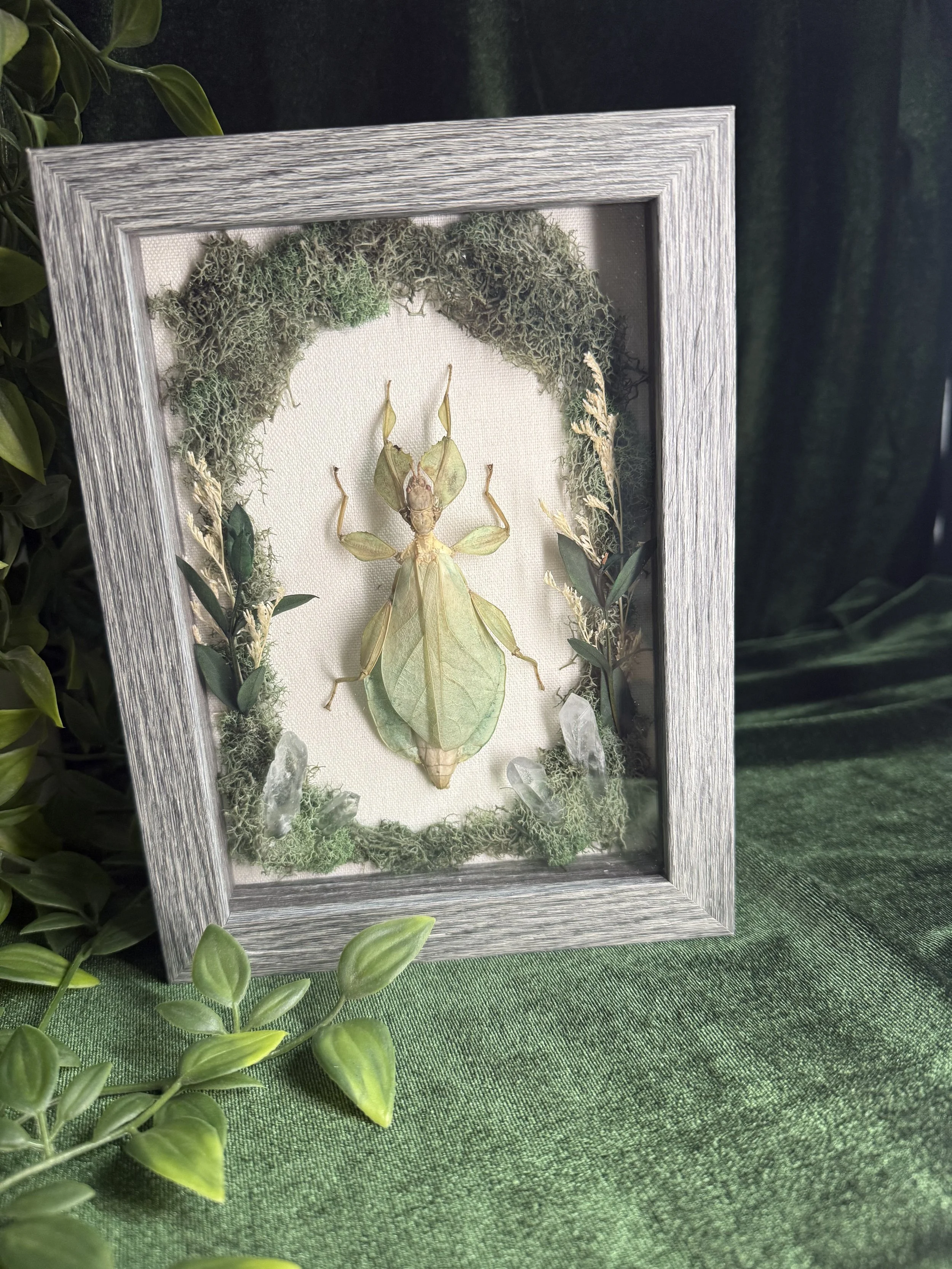 Leaf mantis and quartz