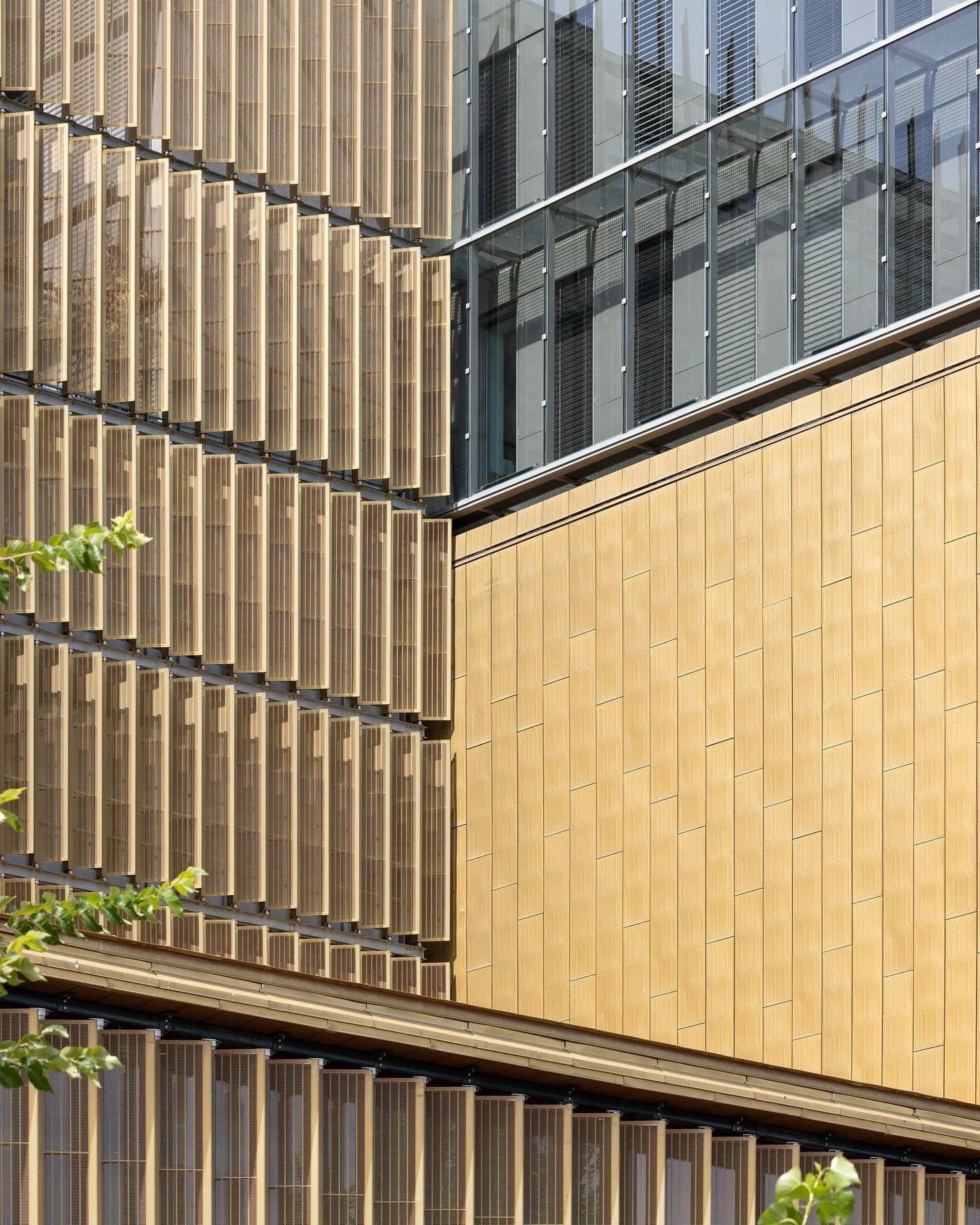 Archives d&eacute;partementales du Rh&ocirc;ne | @sequences_architecture @_a_u_p_ @dumetier_design | Lyon, FR