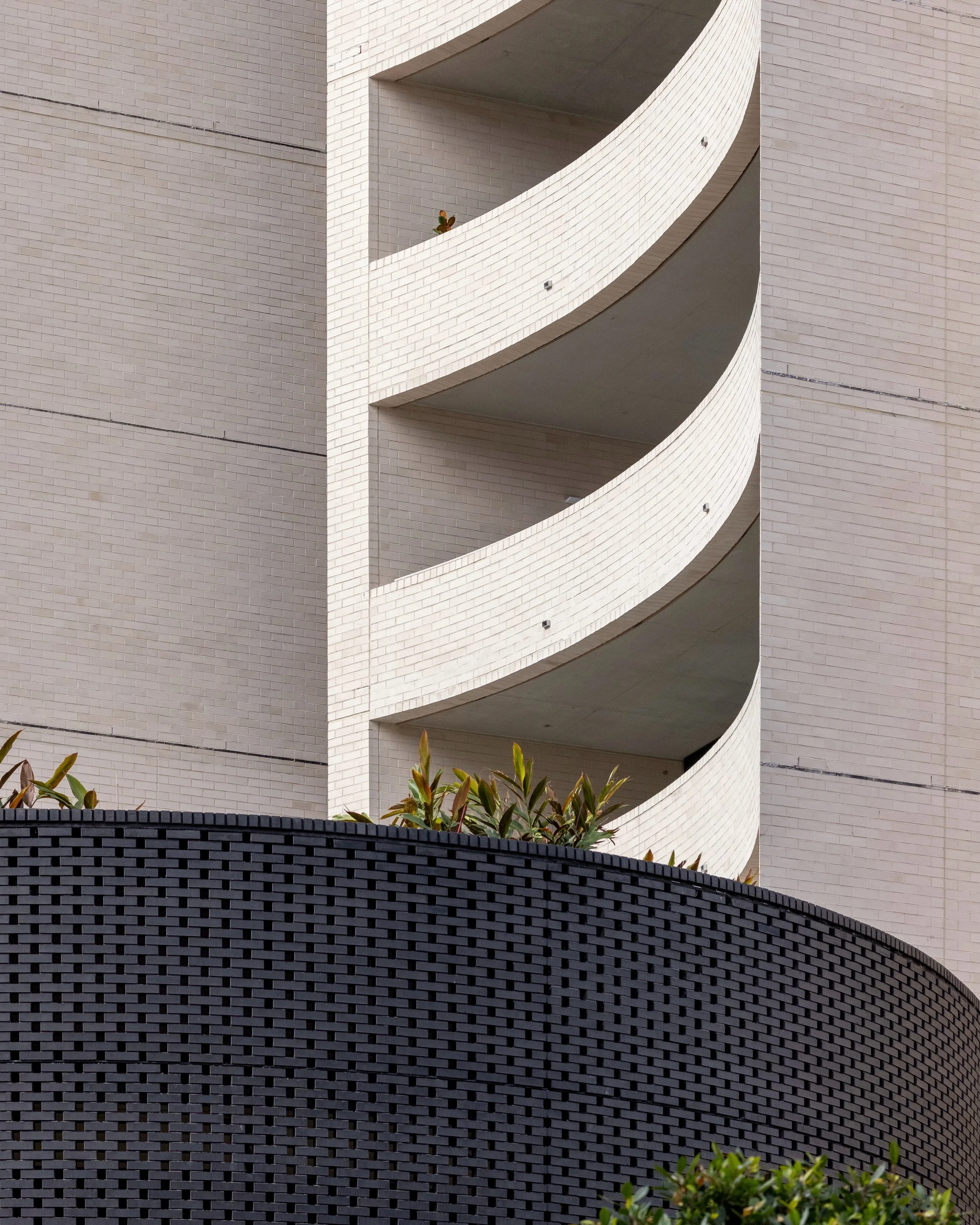 Lacebark | @smart.design.studio | Norwest, AU