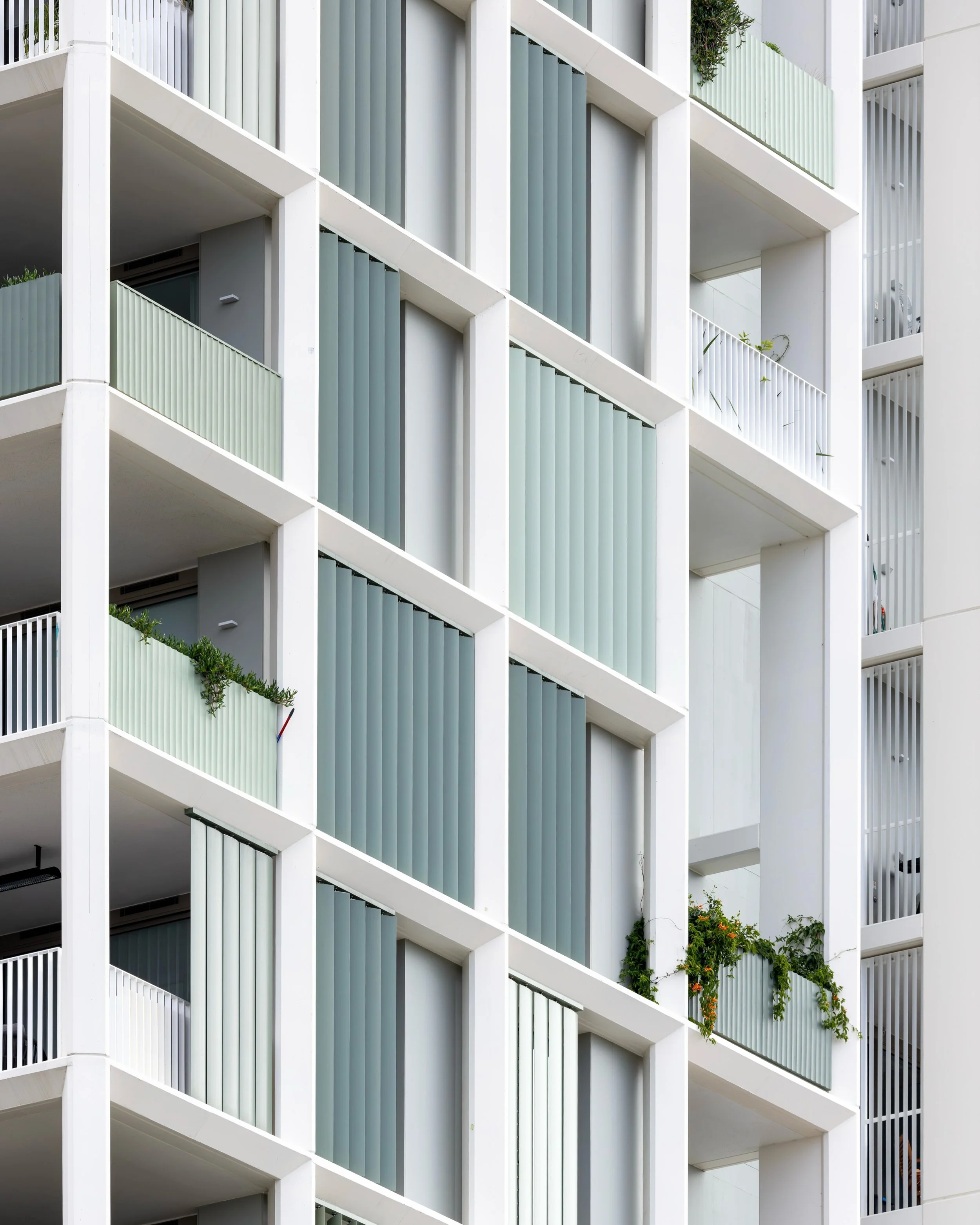 Banksia | @batessmart | Norwest, AU