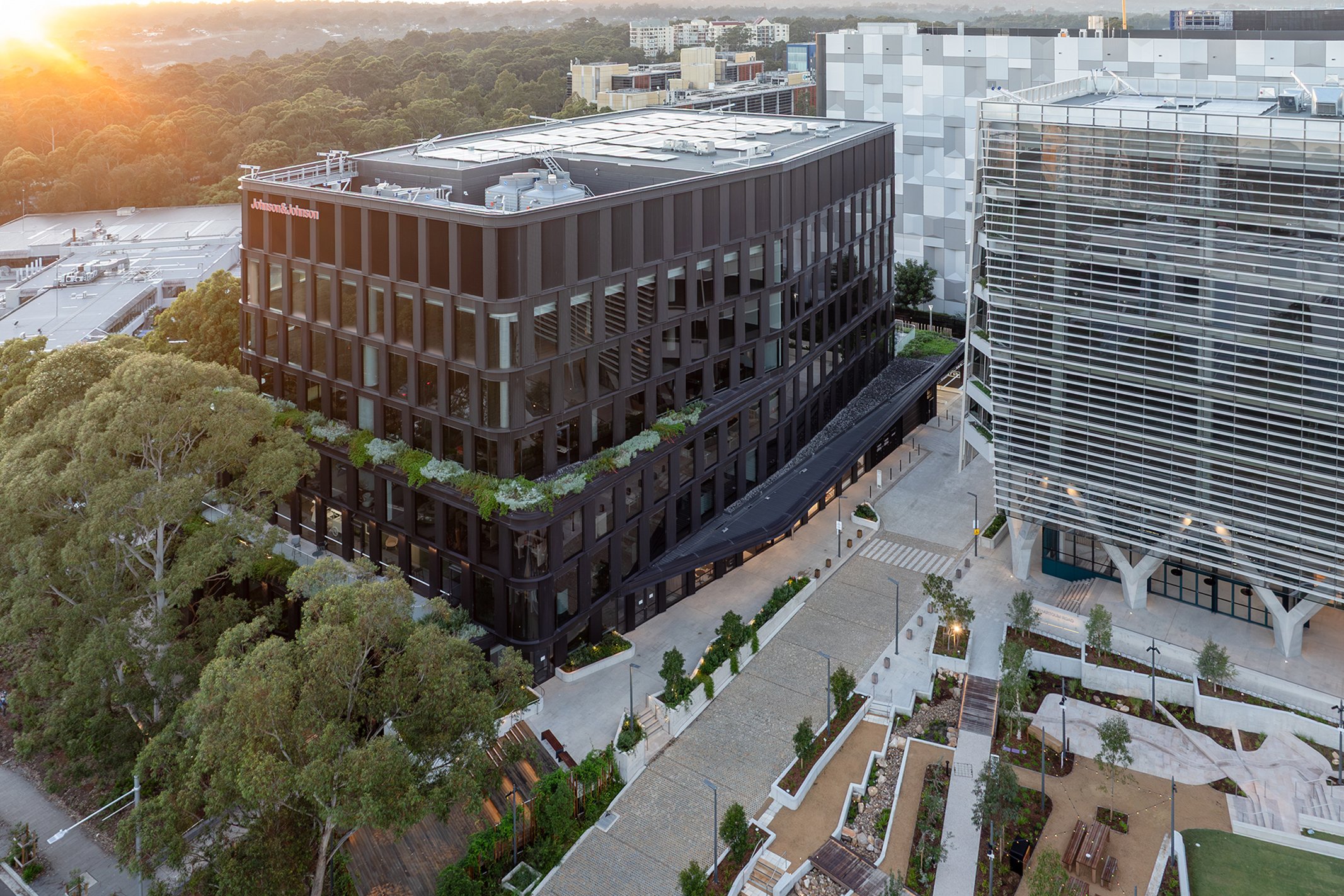 Johnson & Johnson building designed by 3XN in Macquarie Park