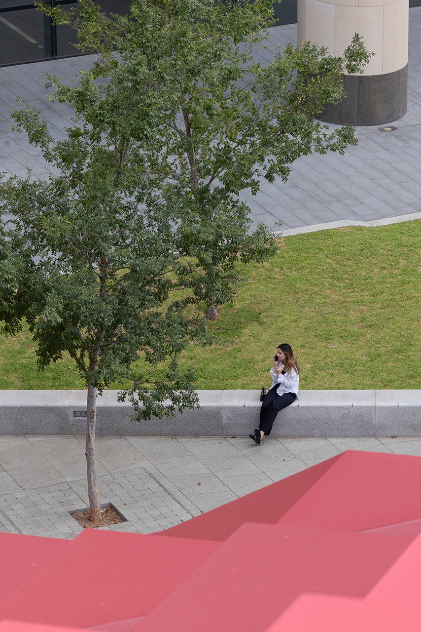 Parramatta Square Phive Landscape