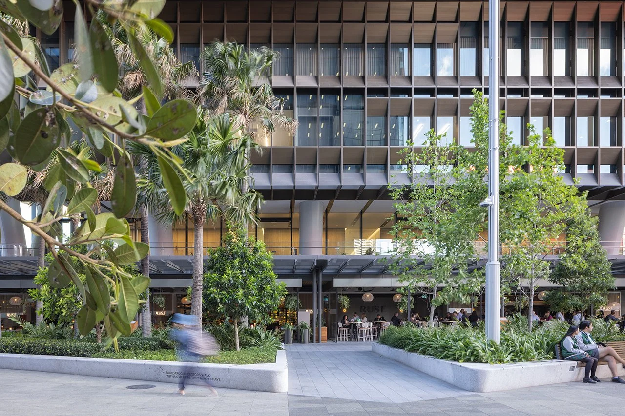 Parramatta Square Urban design