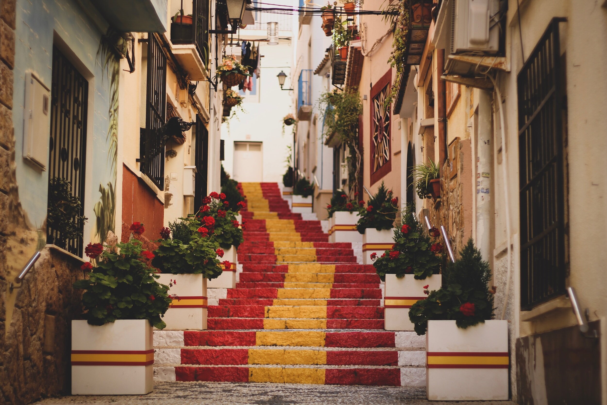 Spanish Red Wine Tasting