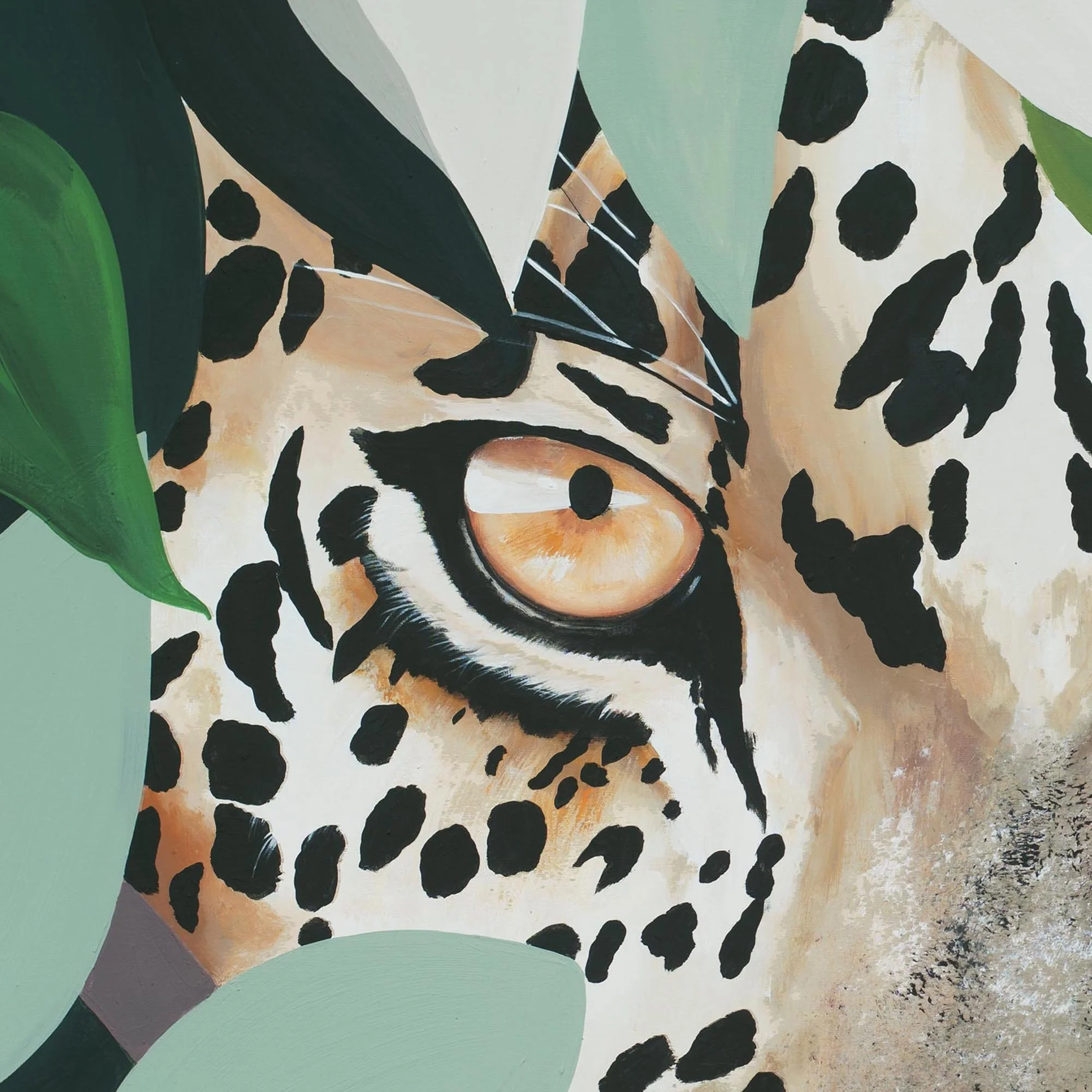 FOCUS - crop 1.jpg