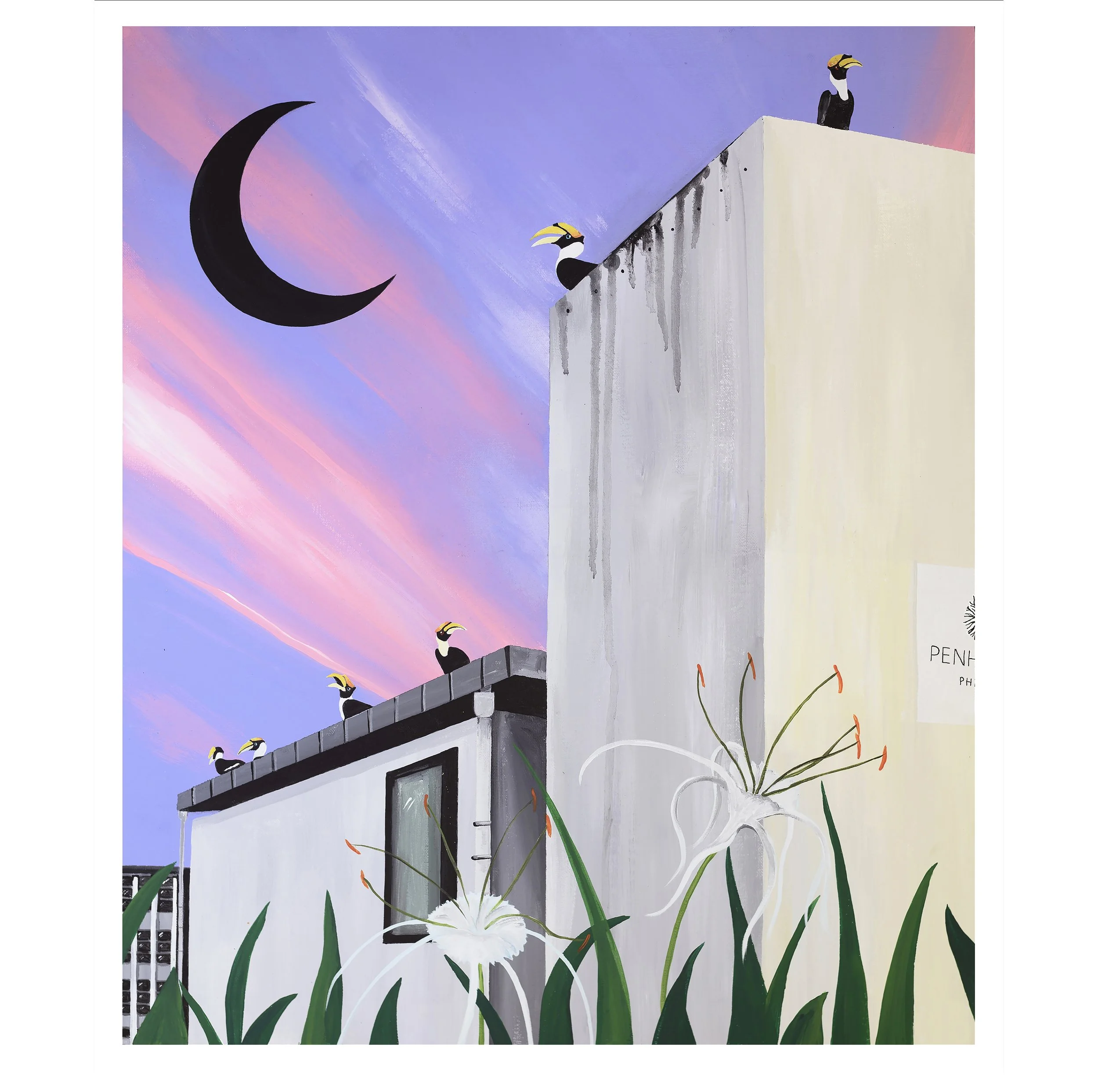 SUNDOWN CITY - SQ.jpg